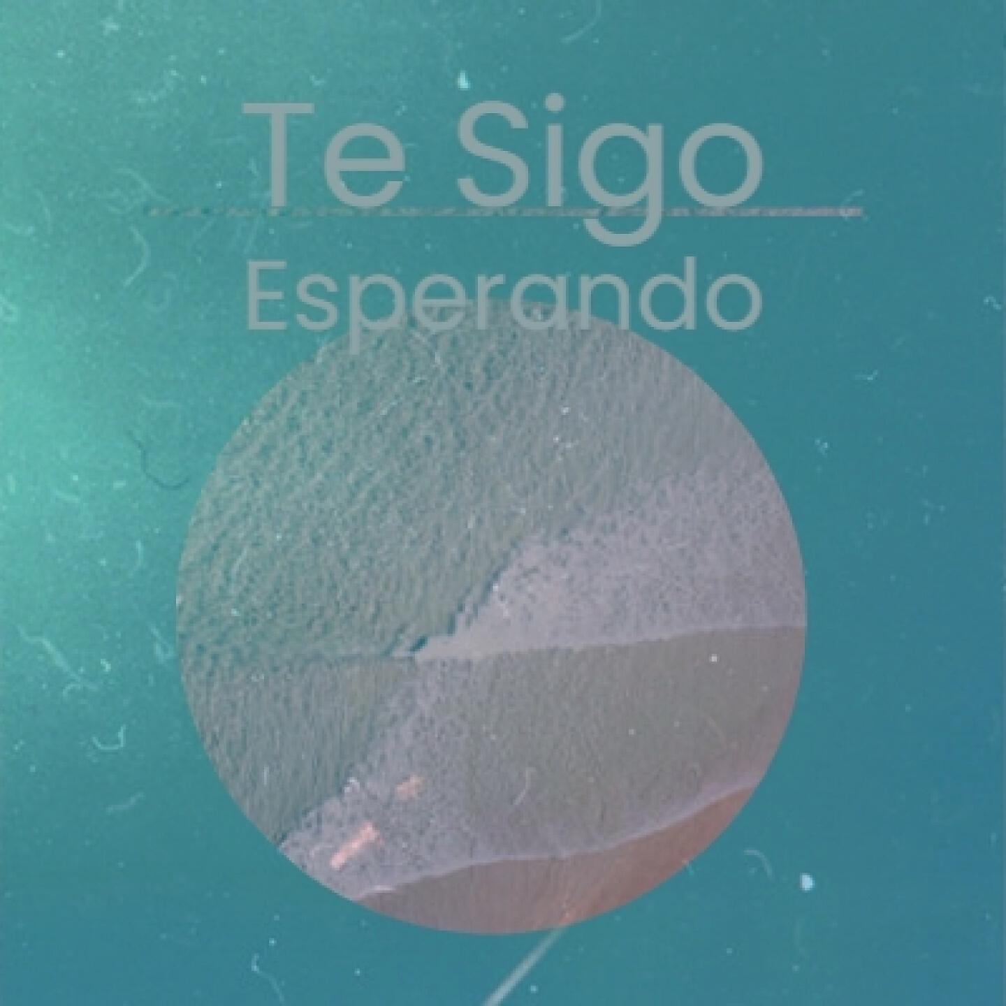 Релиз Te Sigo Esperando