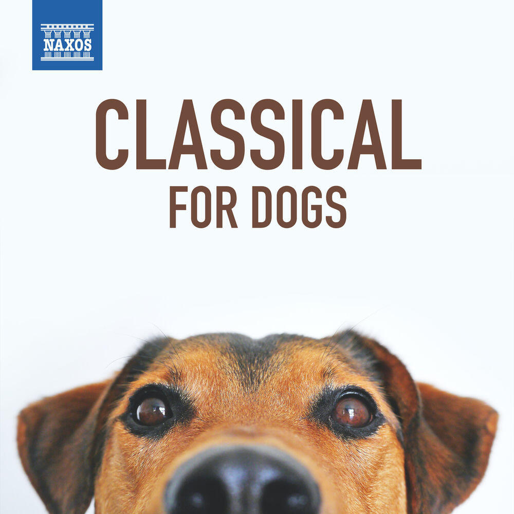 Релиз Classical for Dogs