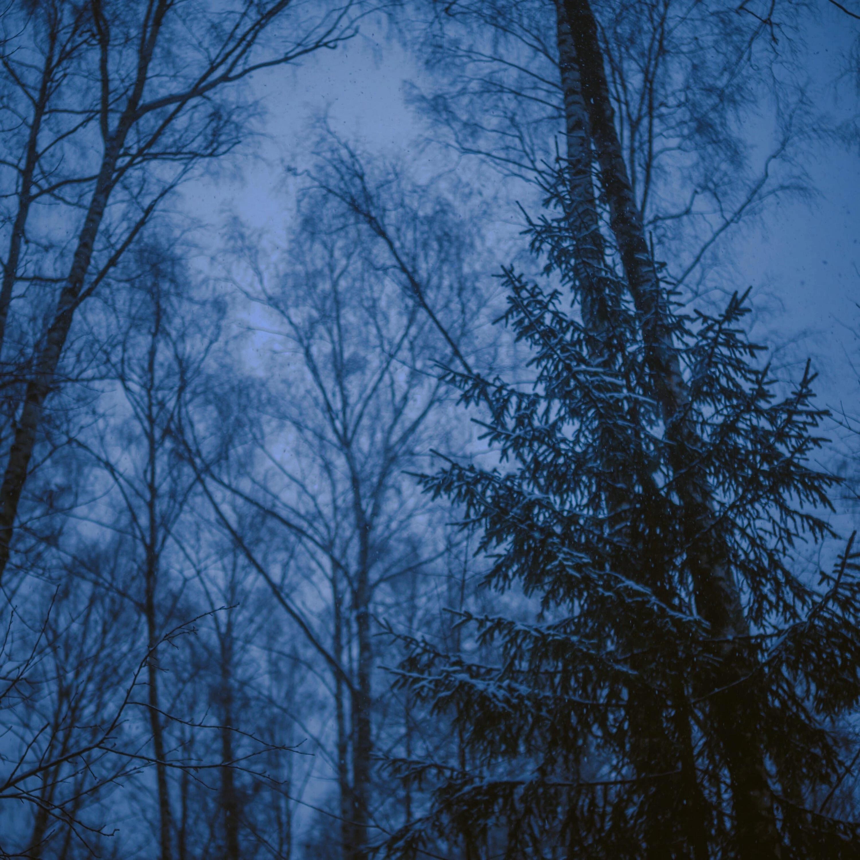 Релиз Сохранить