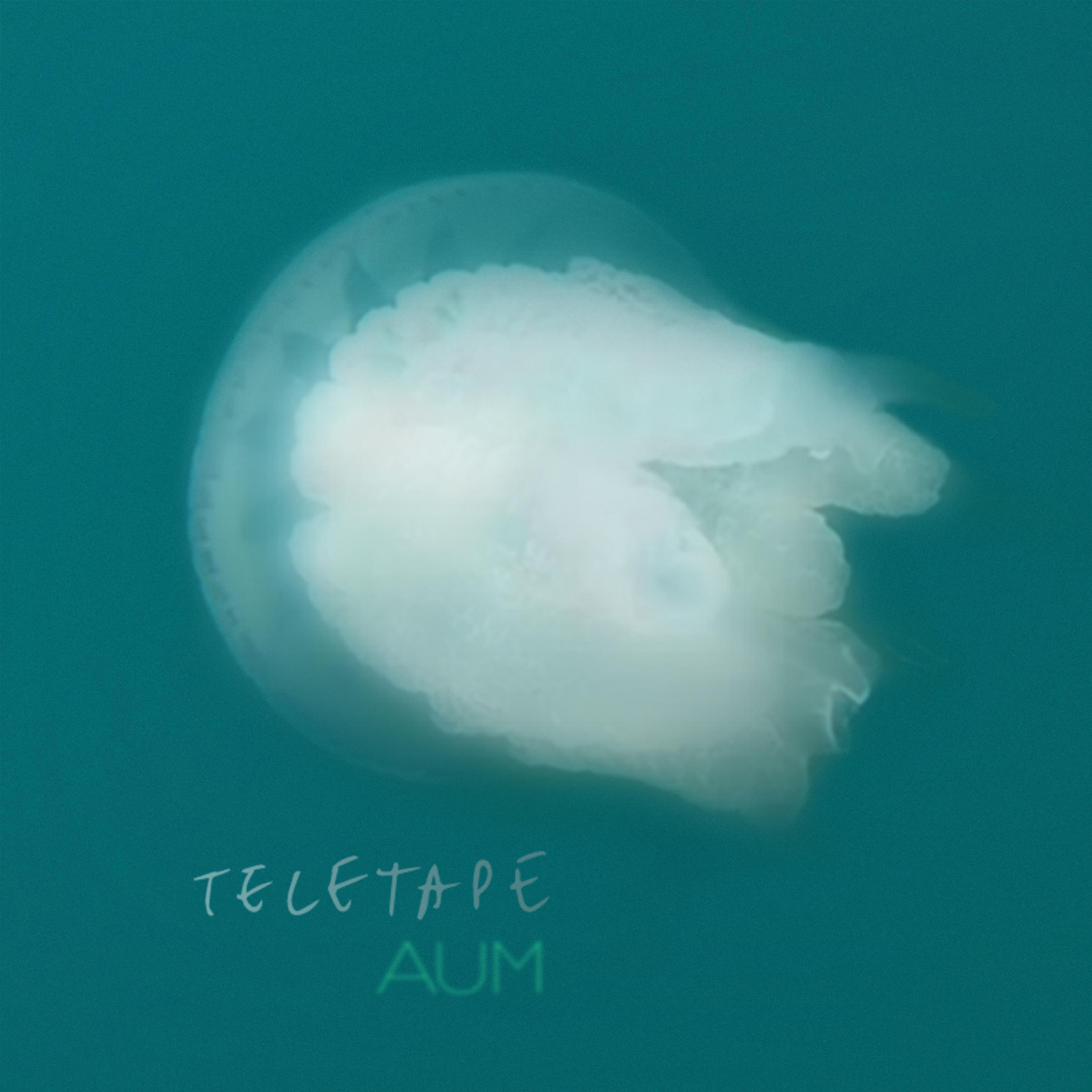 Релиз Aum