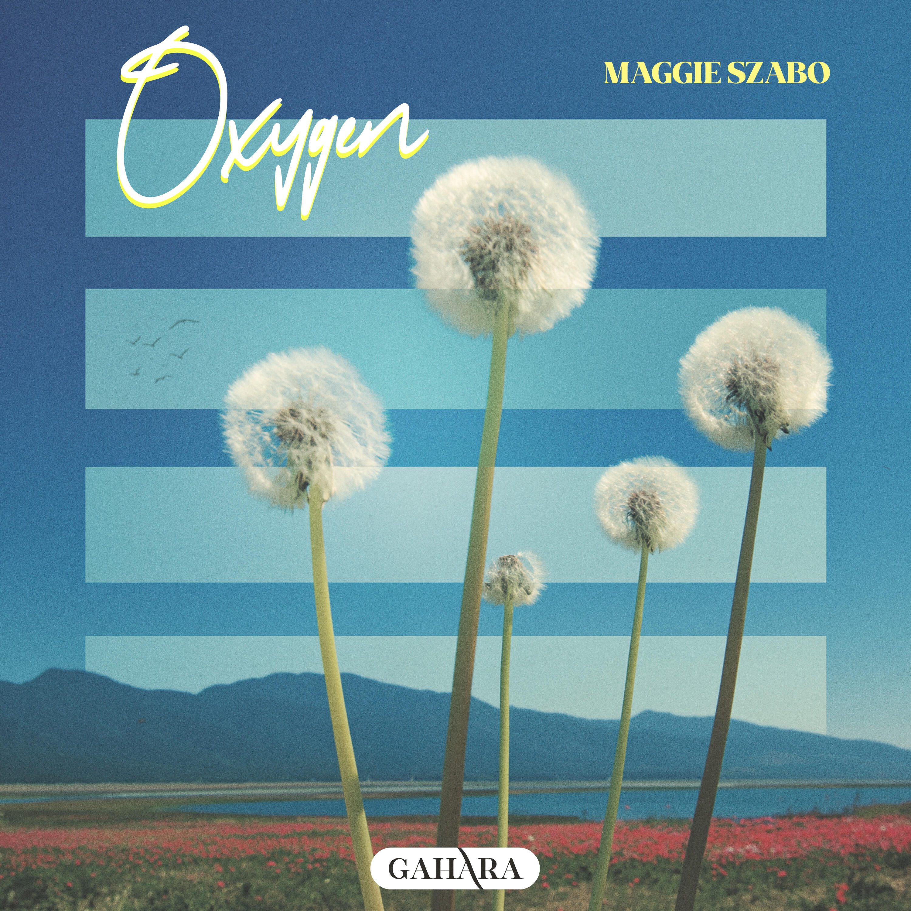Релиз Oxygen