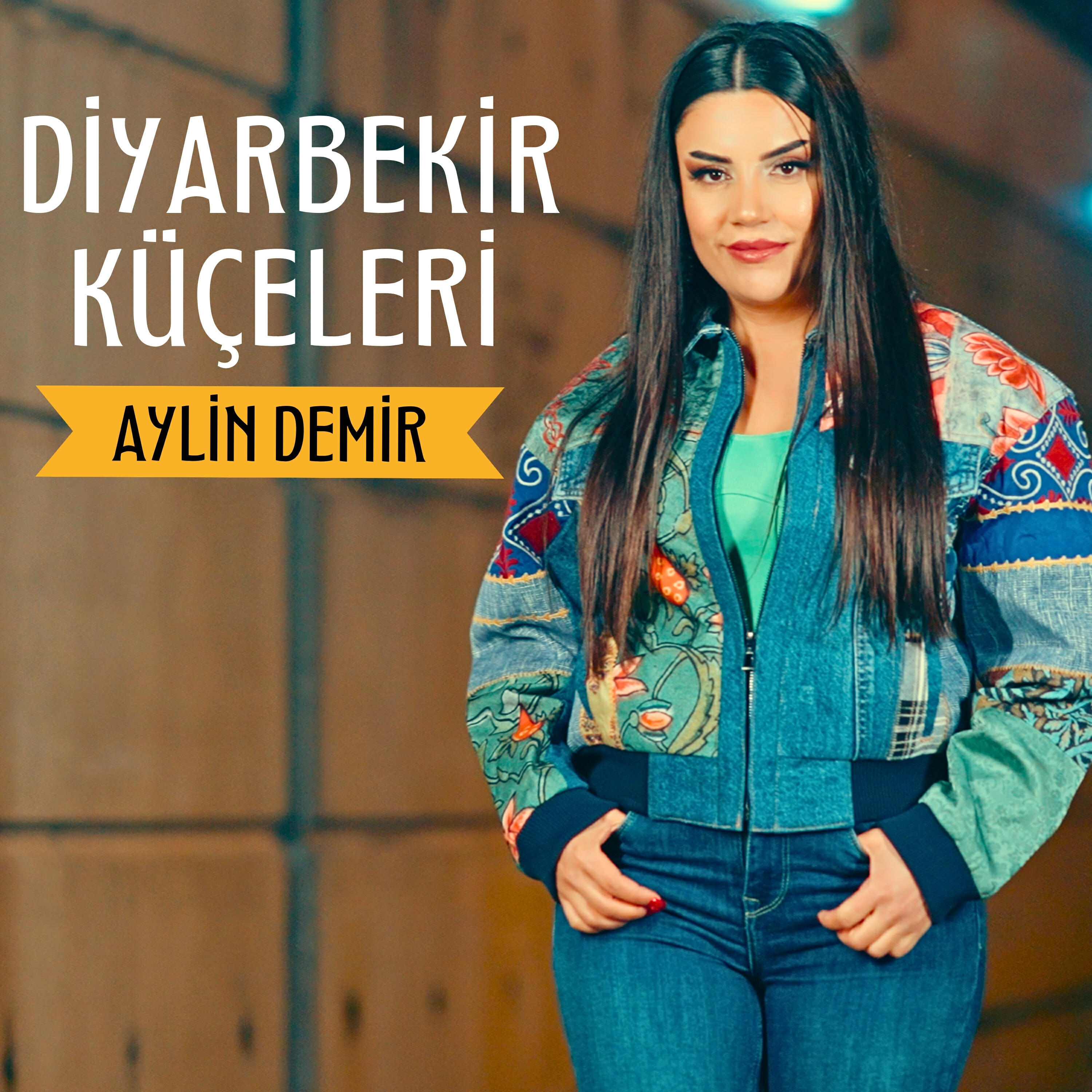 Постер альбома Diyarbekir Küçeleri
