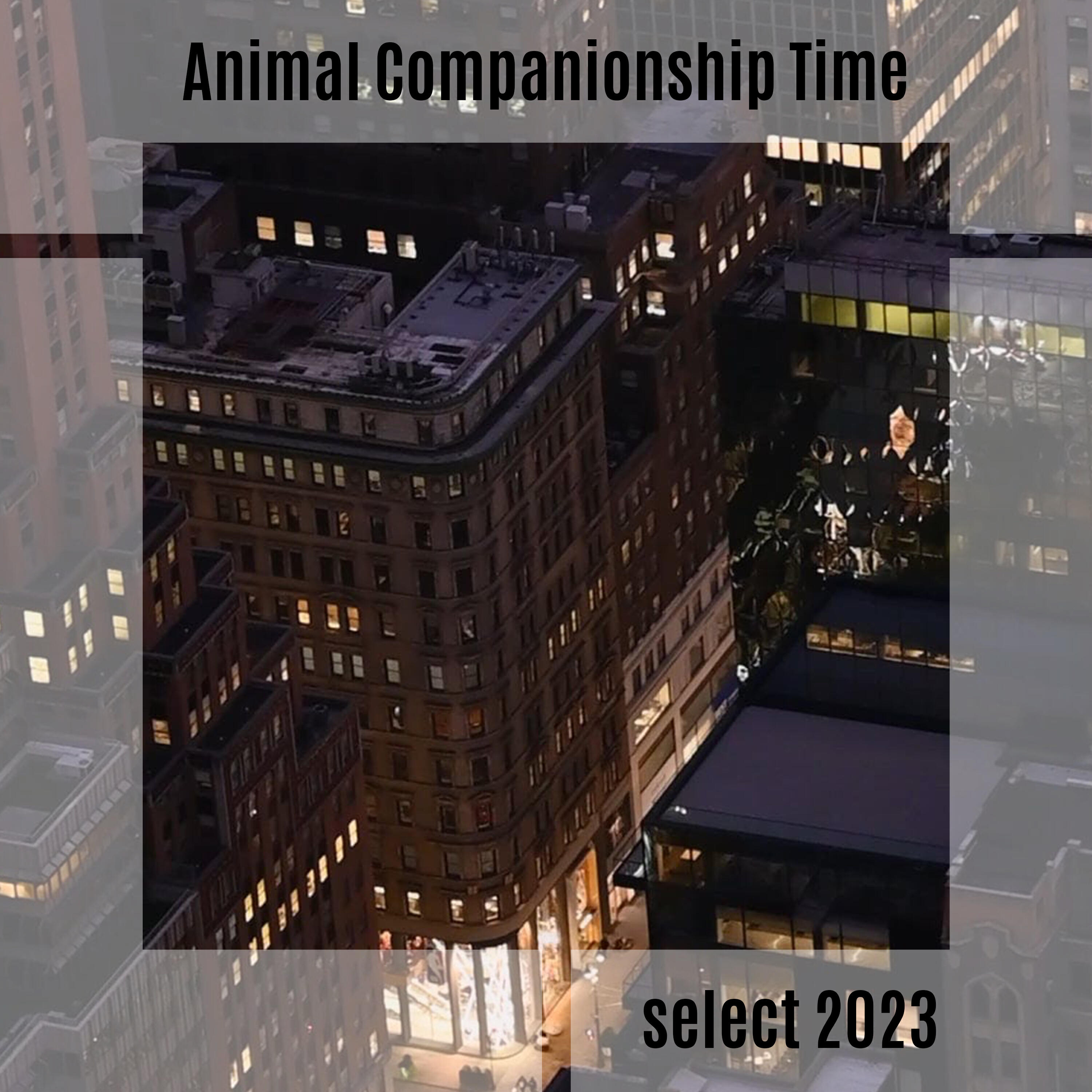 Релиз Animal Companionship Time Select 2023