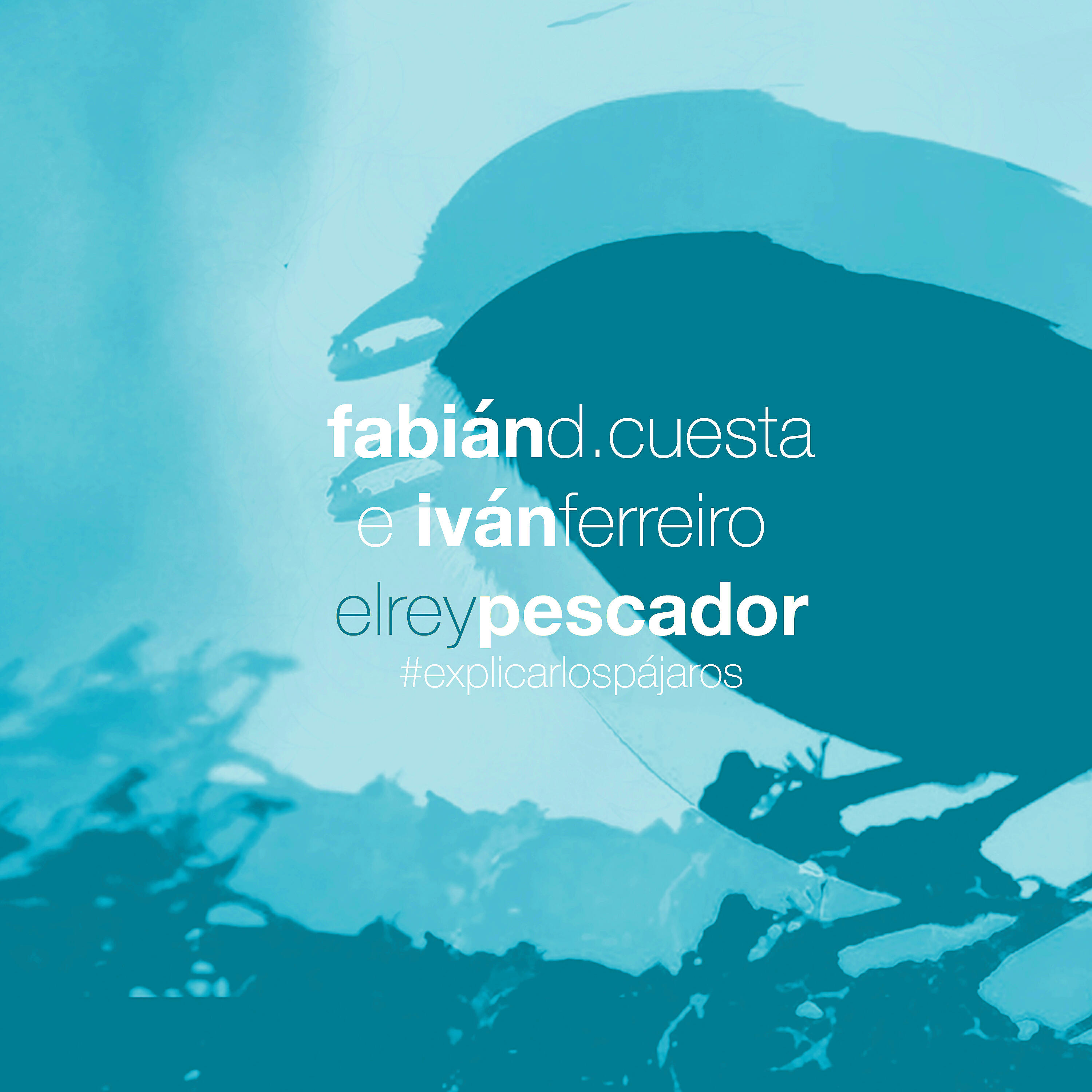 Релиз El Rey Pescador - Explicar los pájaros