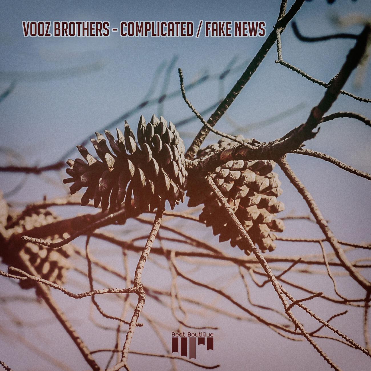 Релиз Complicated / Fake News