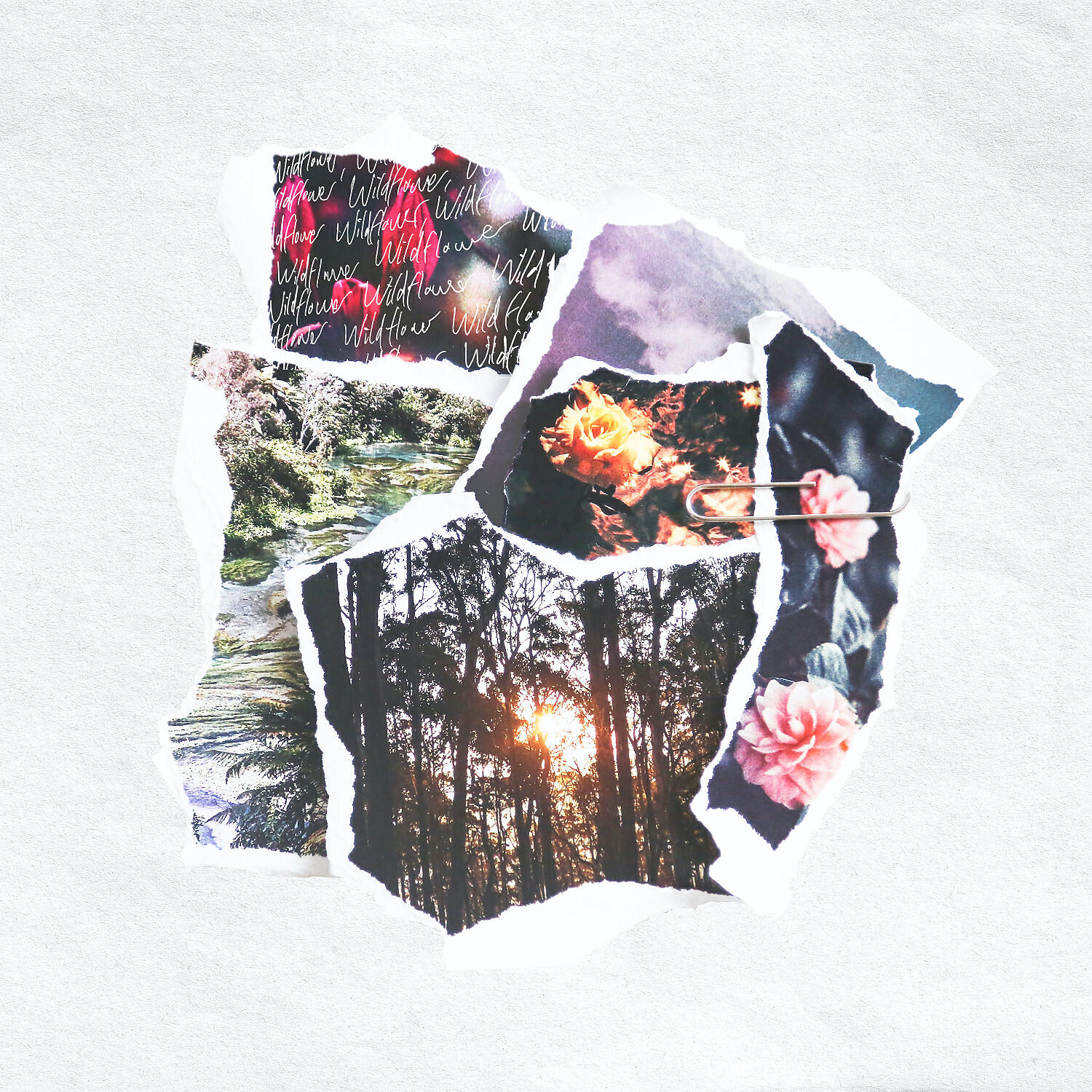Релиз Wildflower