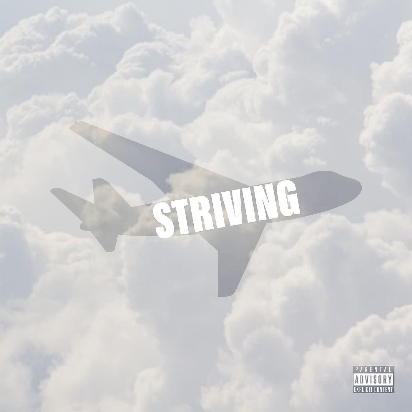 Релиз Striving