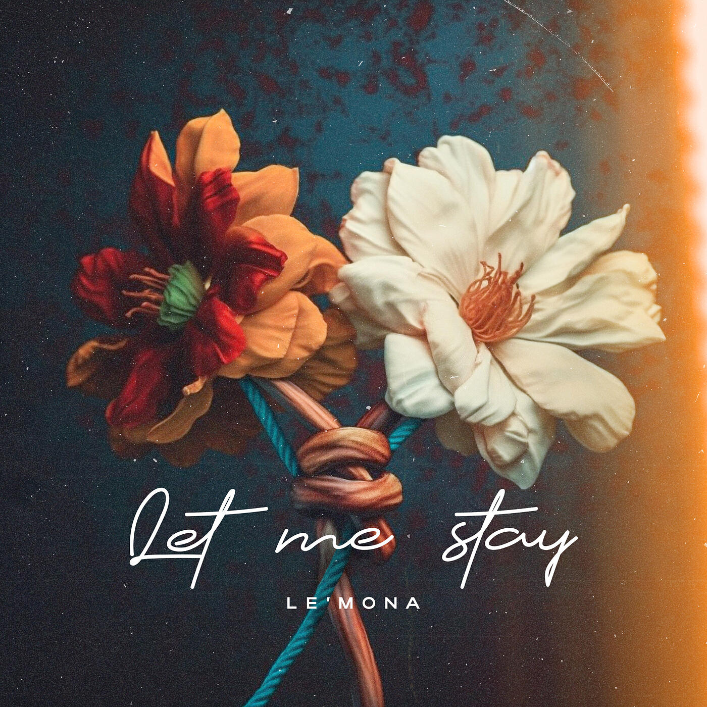 Релиз Let Me Stay
