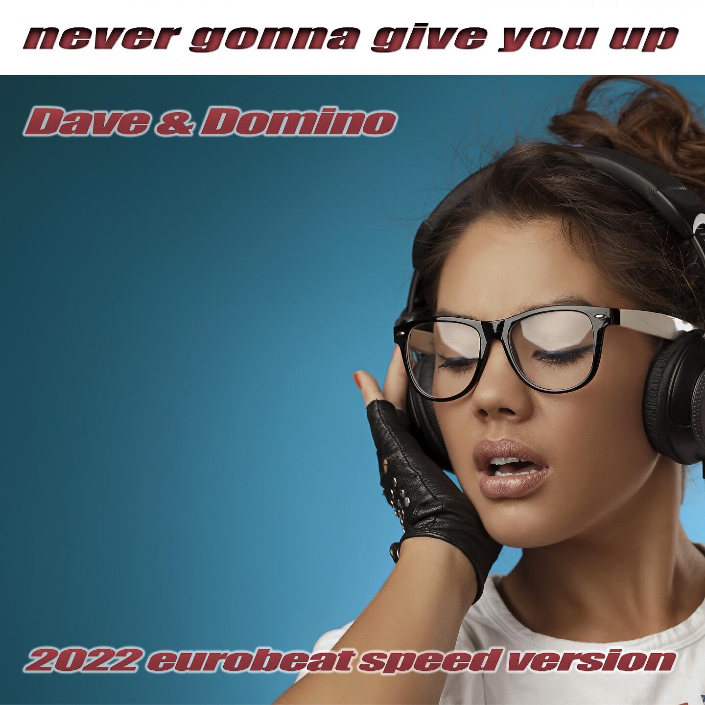 Постер альбома Never Gonna Give You Up