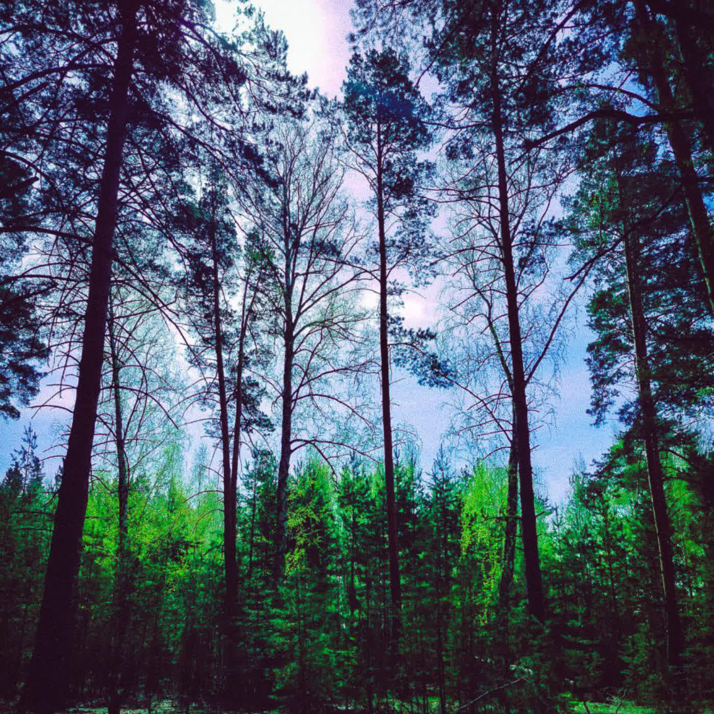 Релиз awakeness