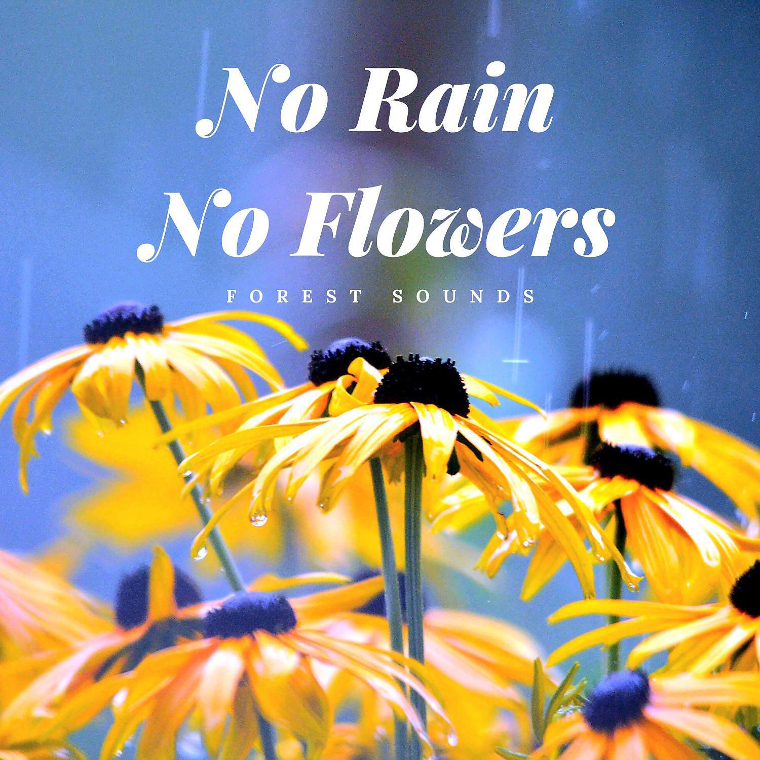 Релиз No Rain No Flowers