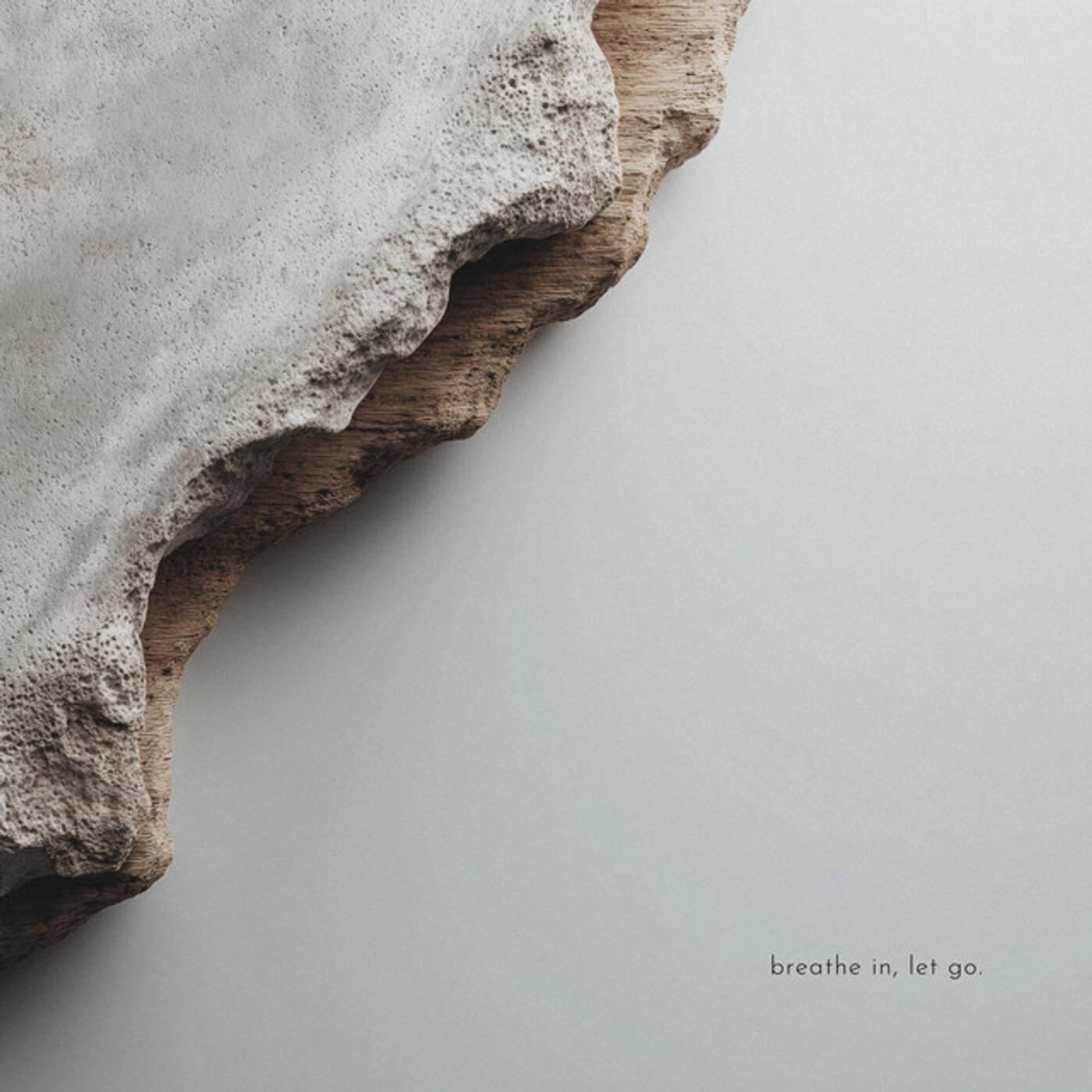Релиз Breathe In, Let Go (Reimagined)