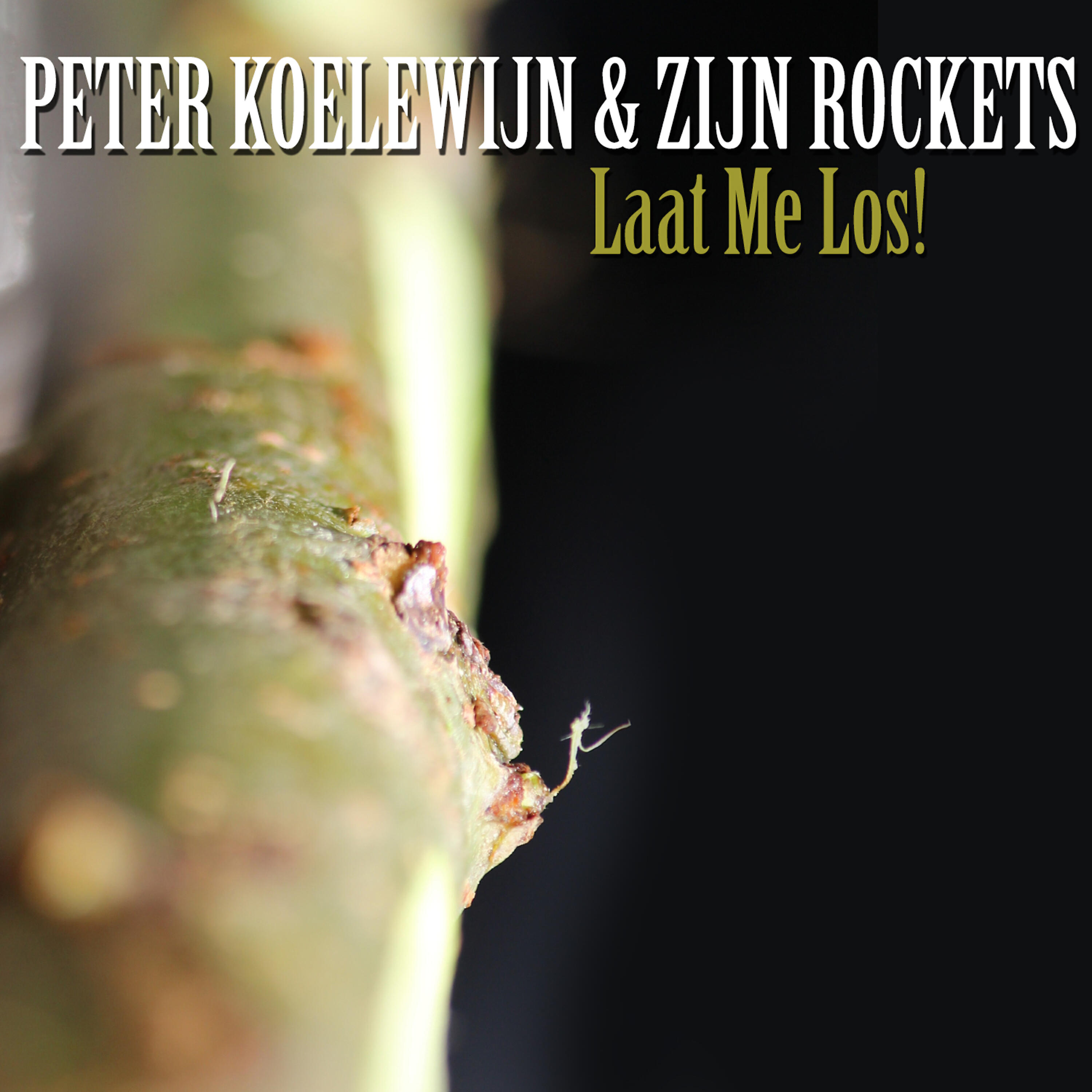 Zijn Rockets