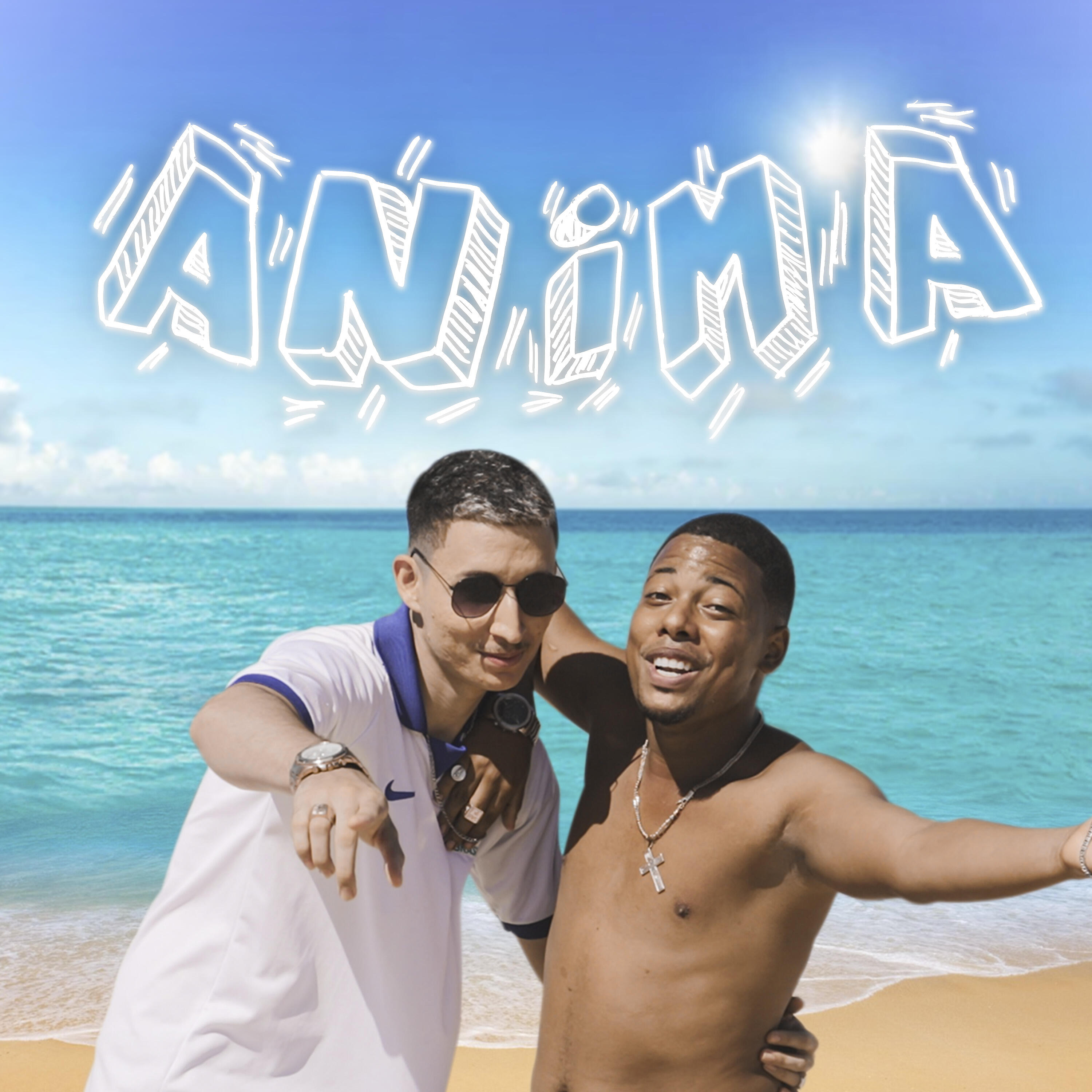 Релиз Anima