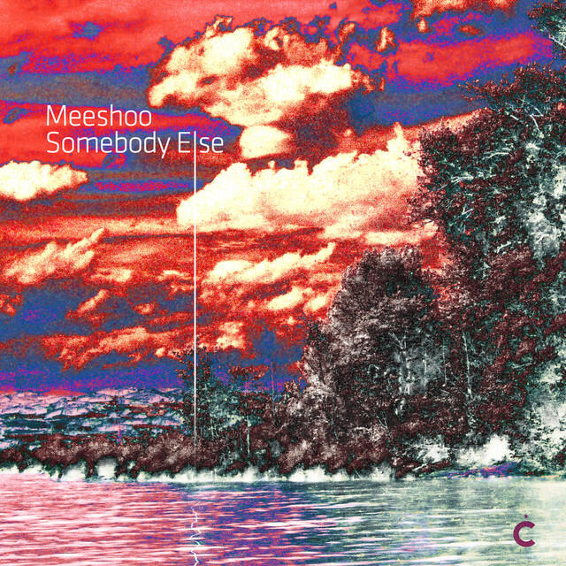 Релиз Somebody Else