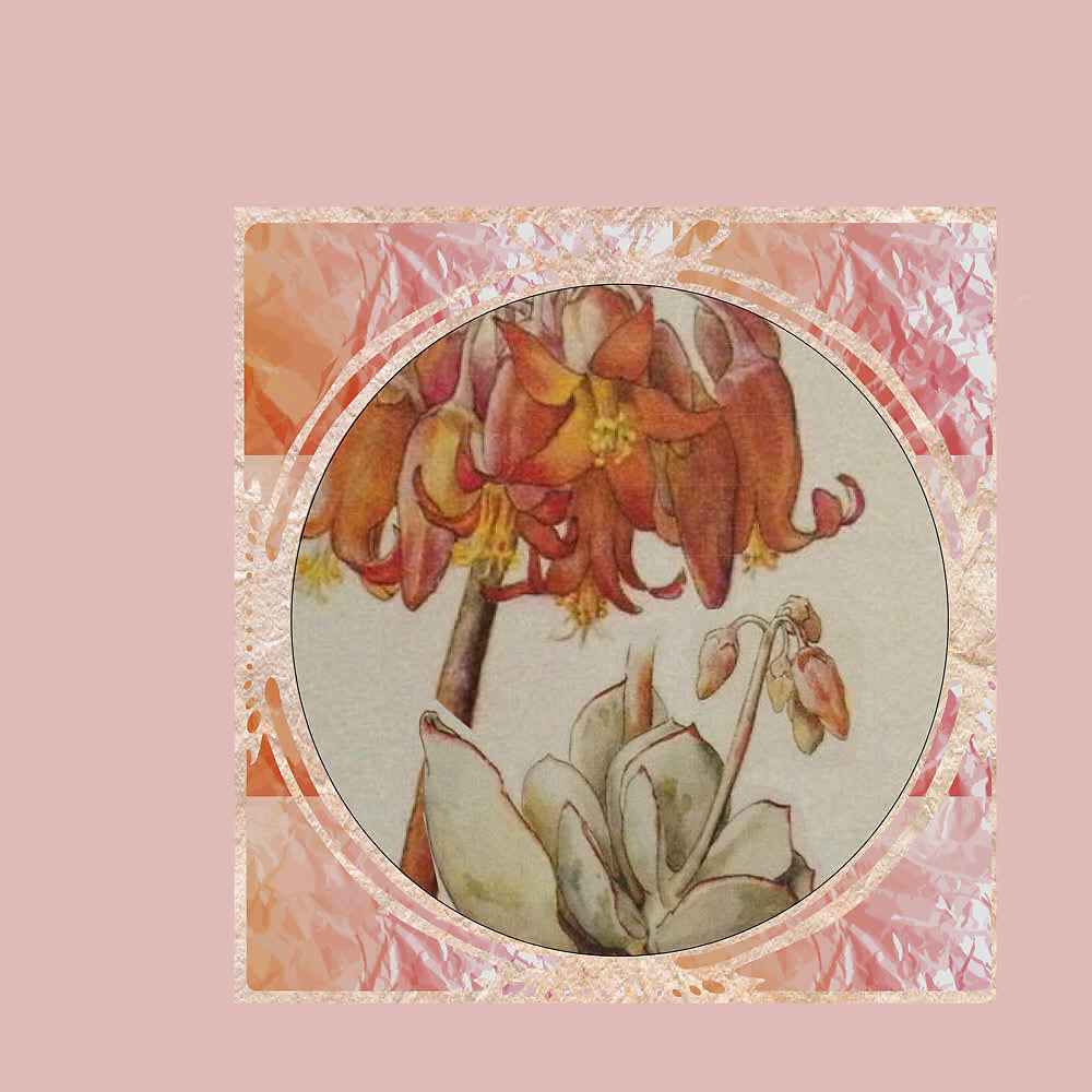 Релиз Flores, Labios, Dedos