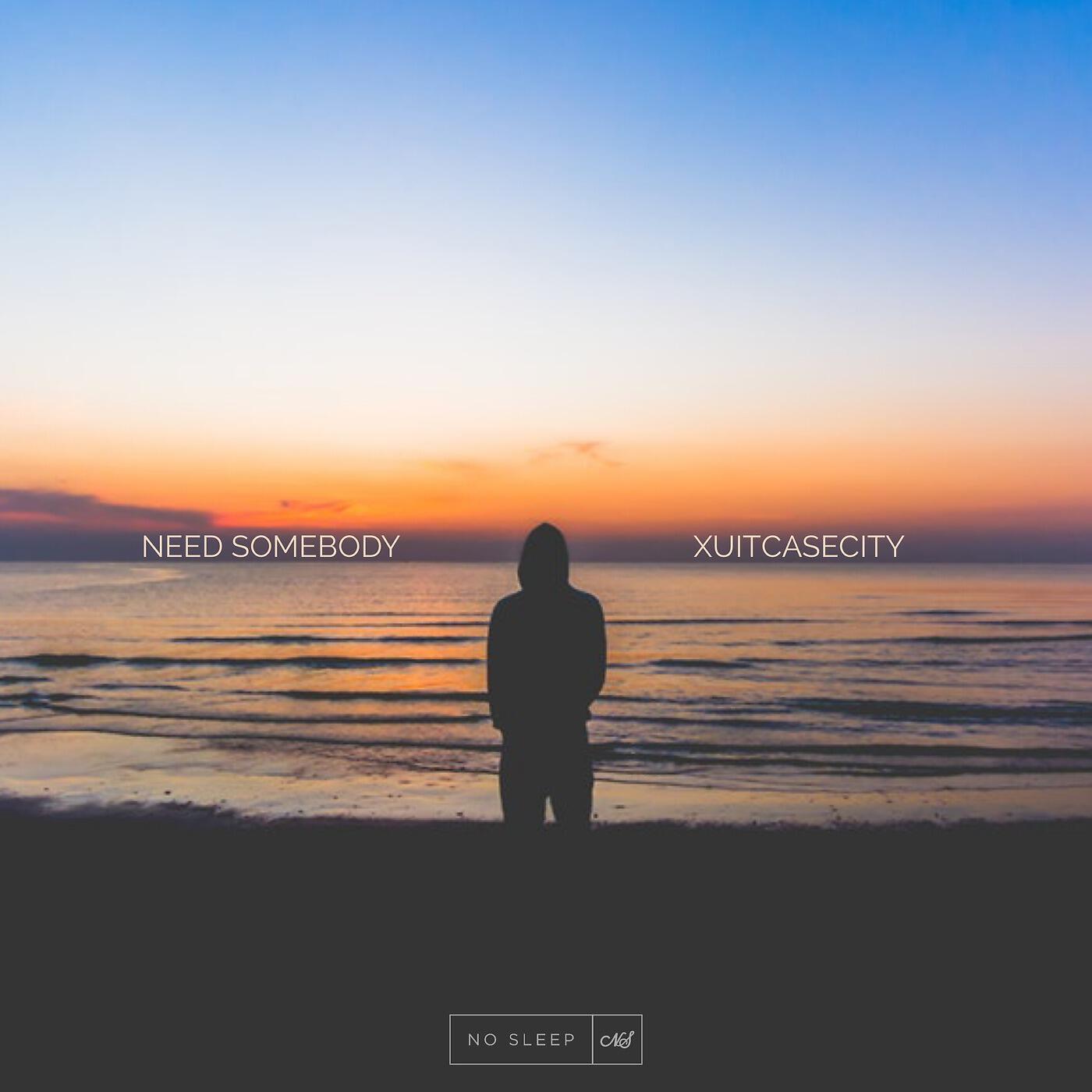 Релиз Need Somebody (Remix)