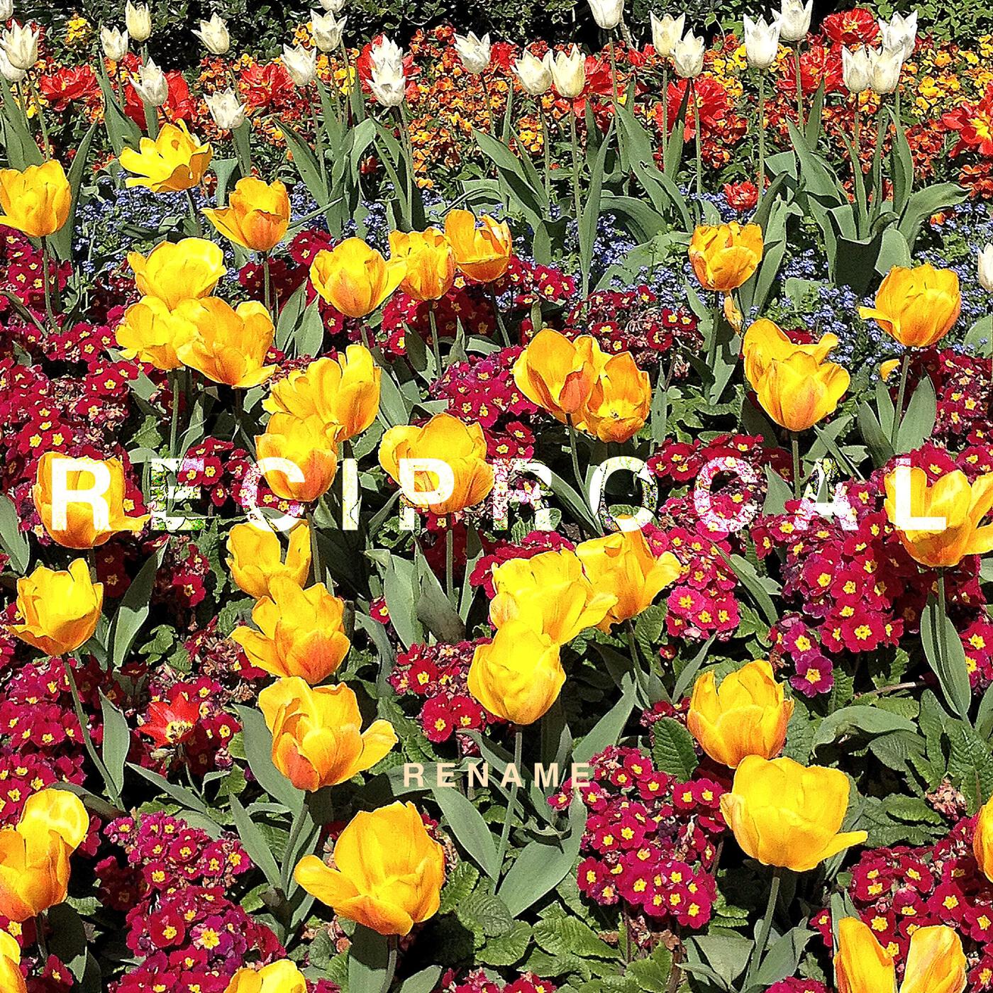 Релиз Reciprocal