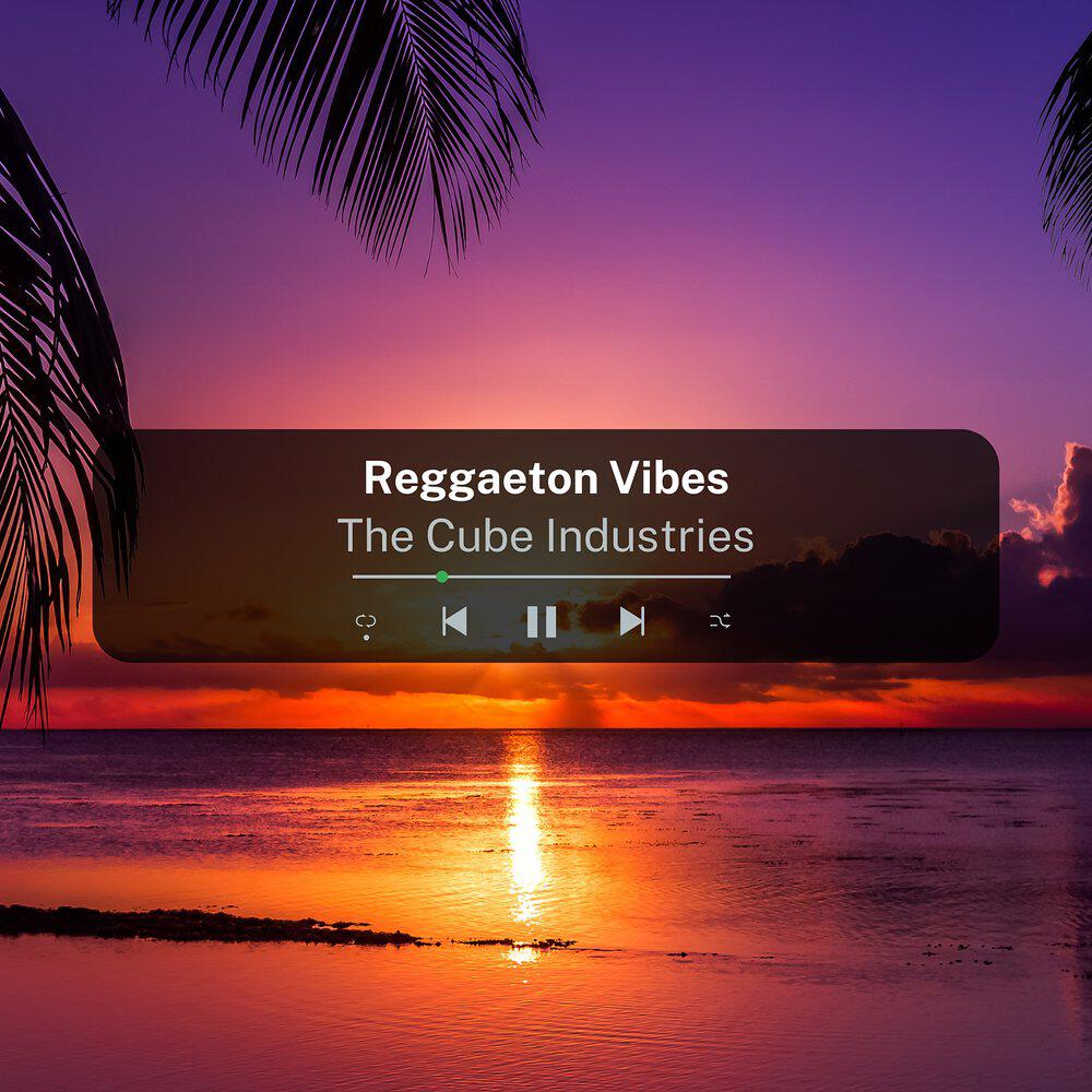 Релиз Reggaeton Vibes