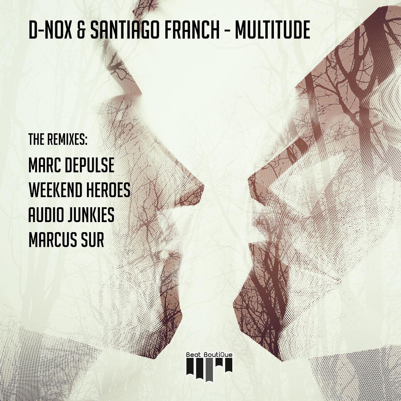 Релиз Multitude Remixes