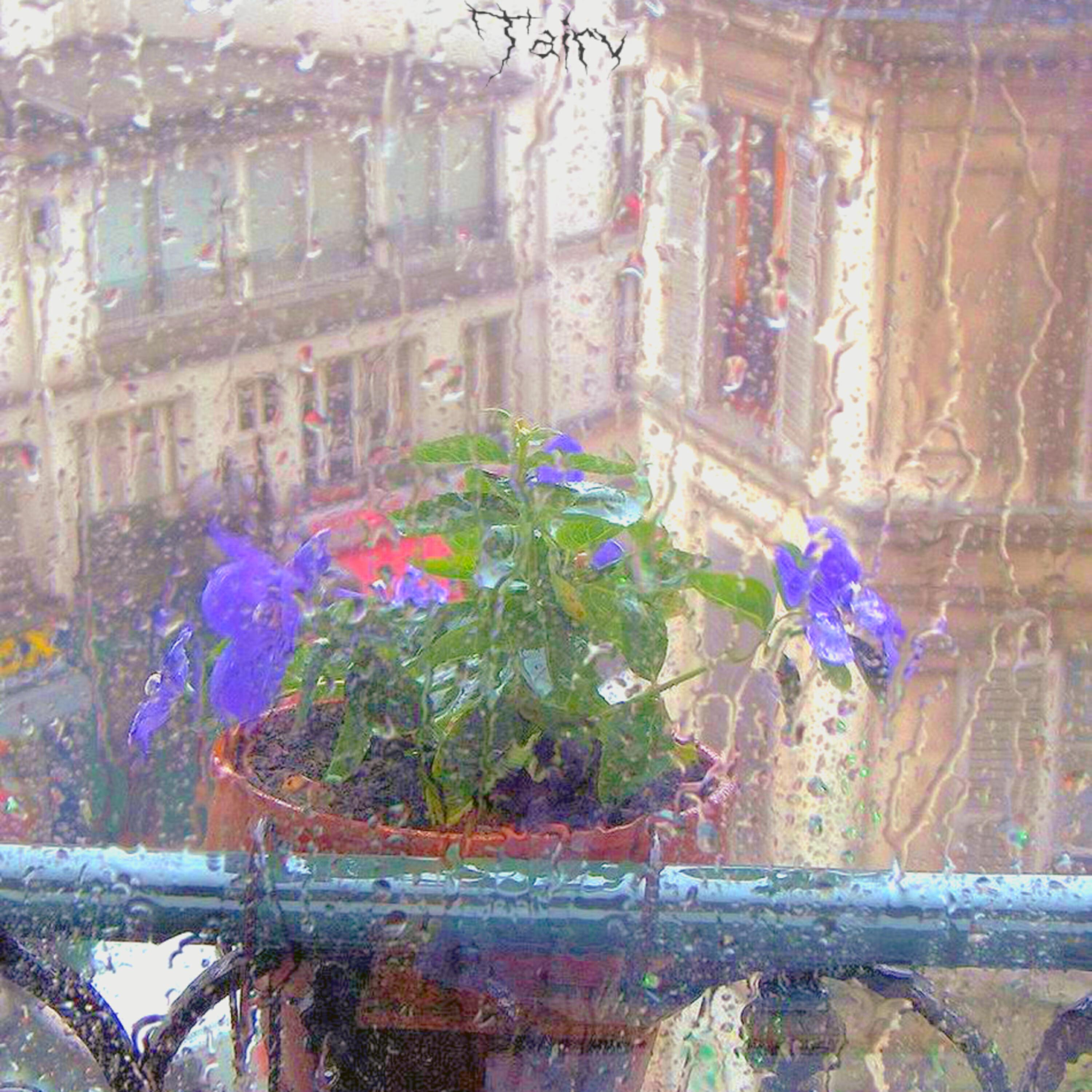 Постер альбома Rain