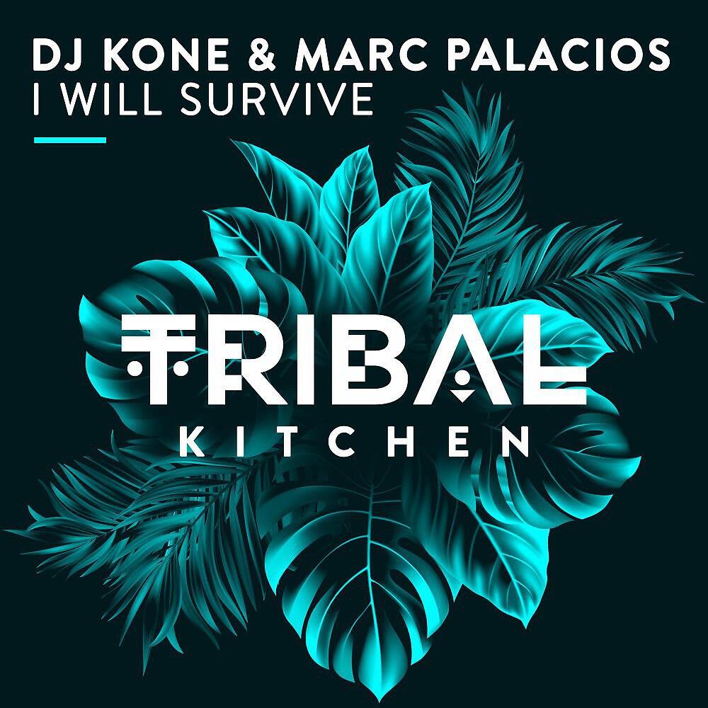 Релиз I Will Survive (Radio Edit)