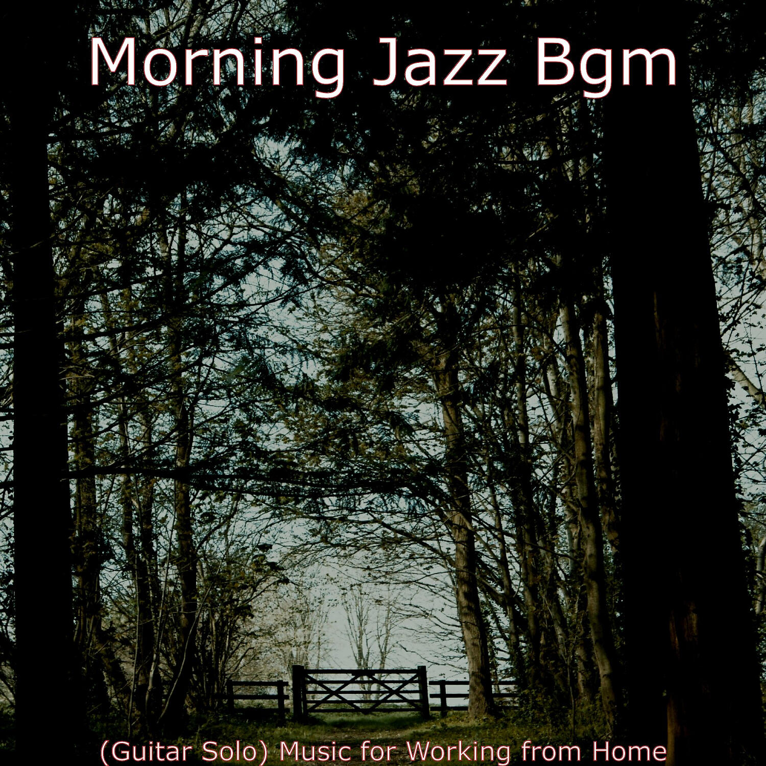 Релиз (Guitar Solo) Music for Working from Home