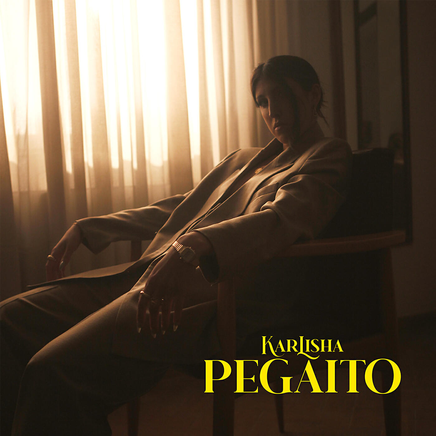 Релиз Pegaito