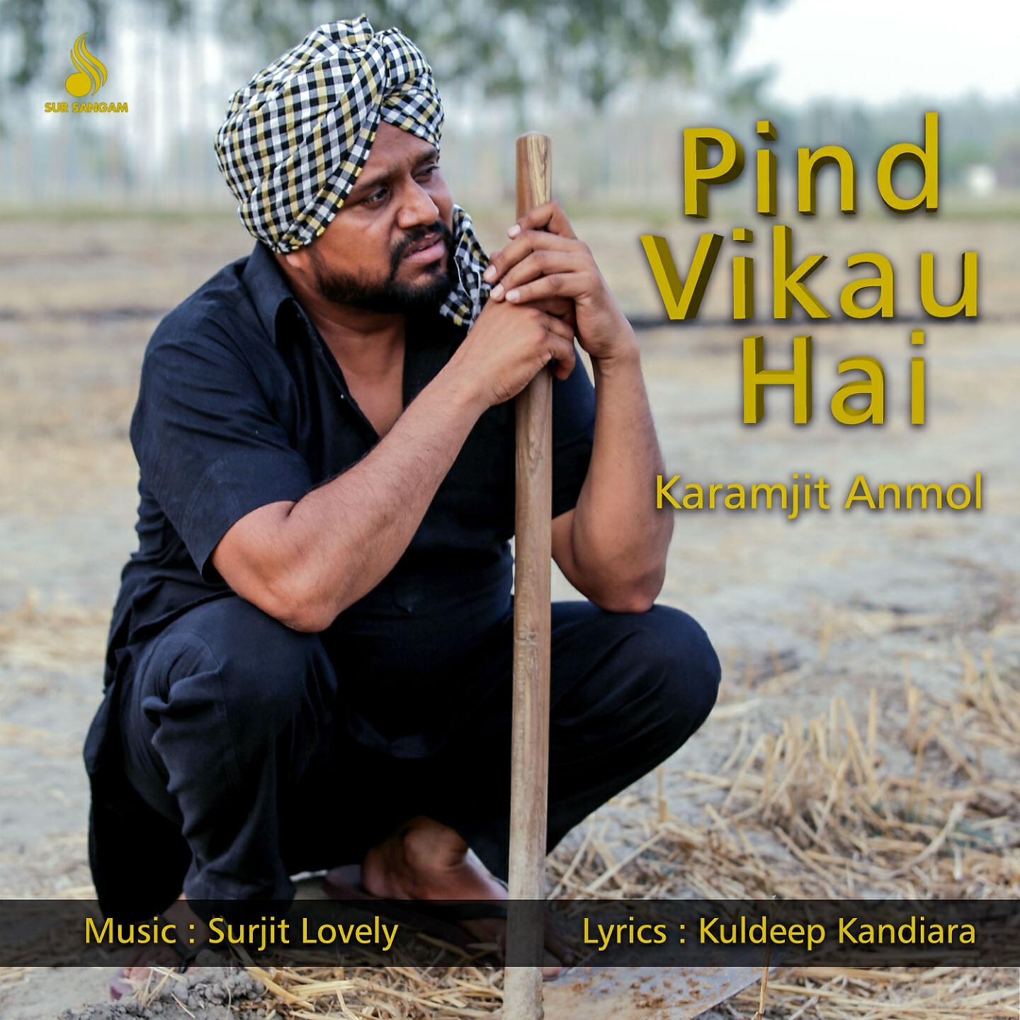 Релиз Pind Vikau Hai