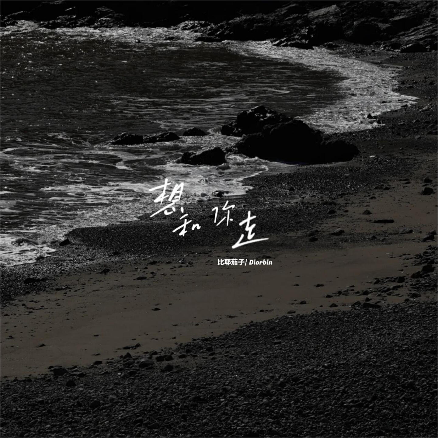 Релиз 想和你走