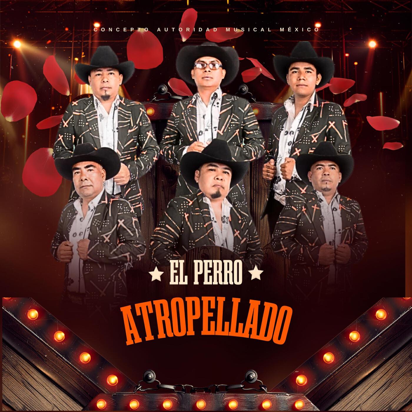 Concepto Autoridad Musical México