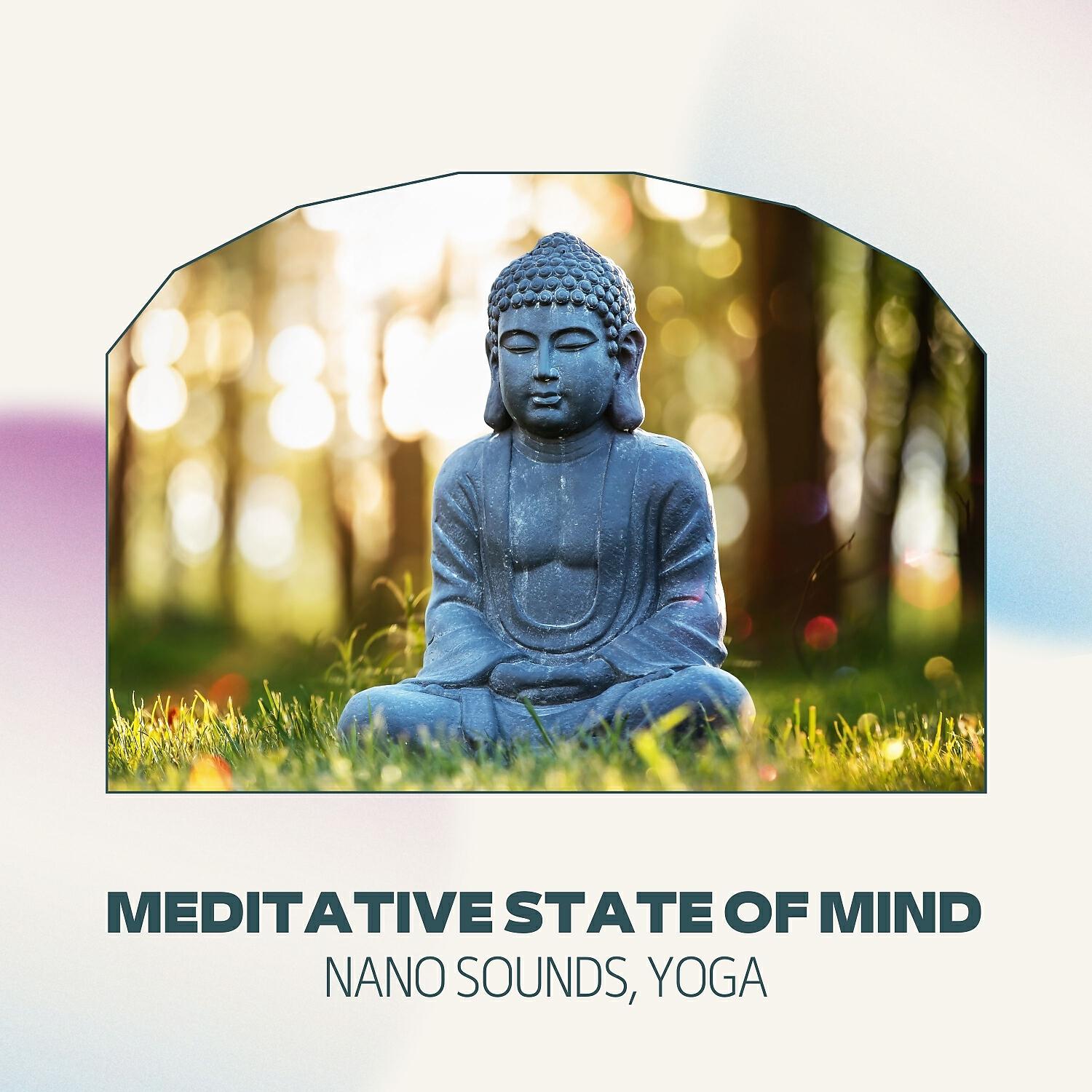 Релиз Meditative State of Mind