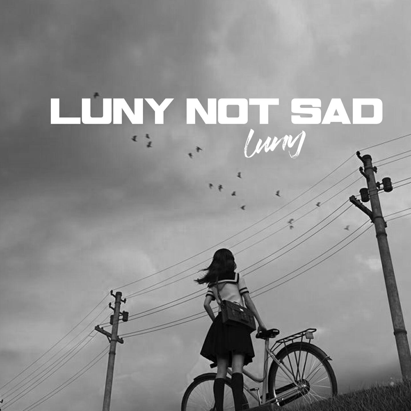 Релиз LUNY Not Sad