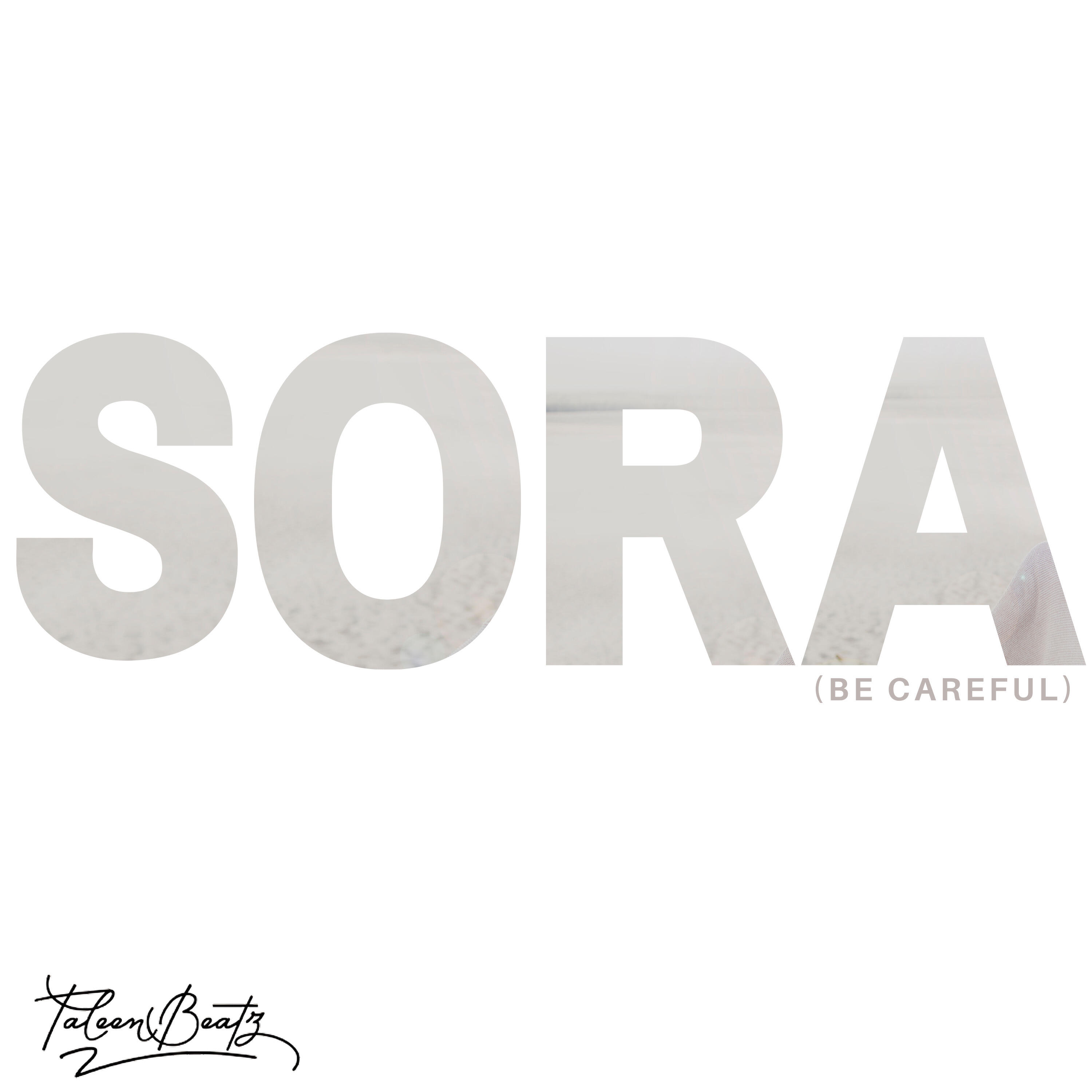 Релиз Sora