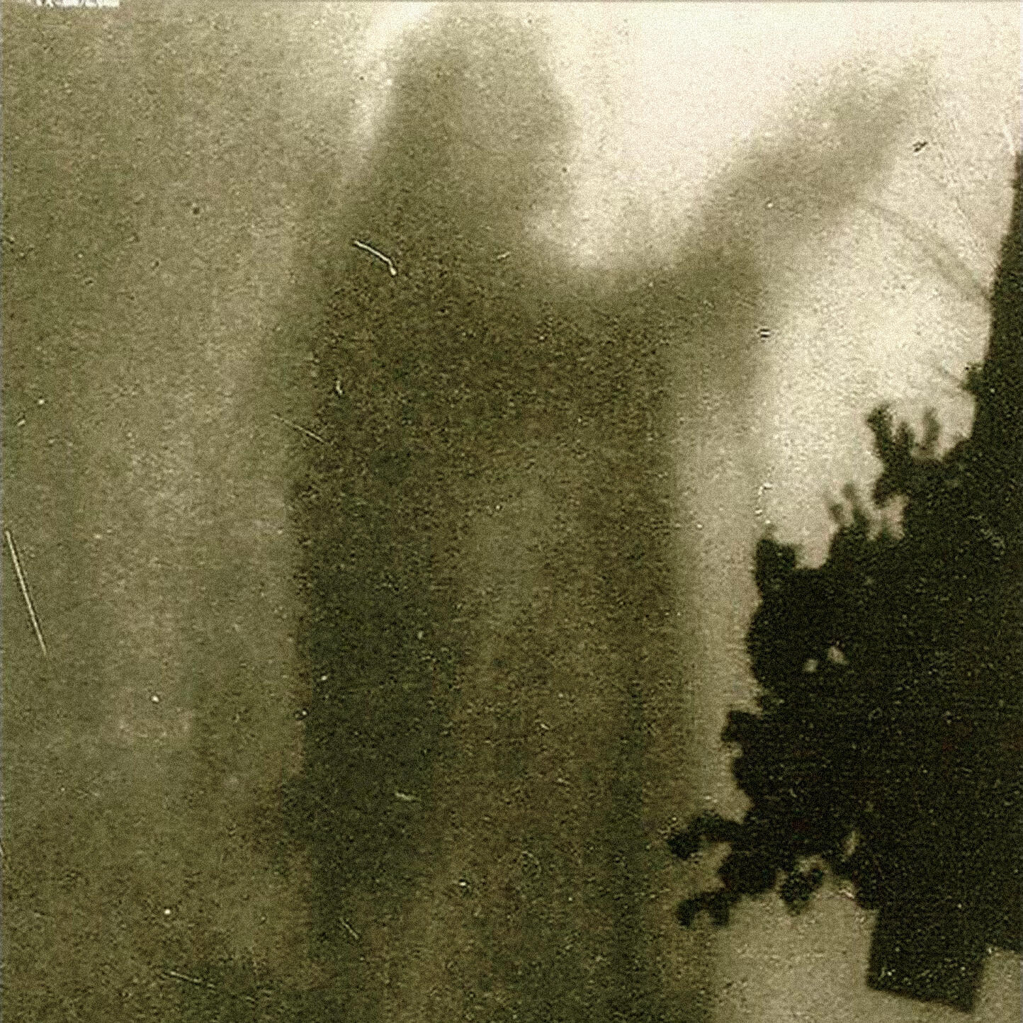 Постер альбома Entombment
