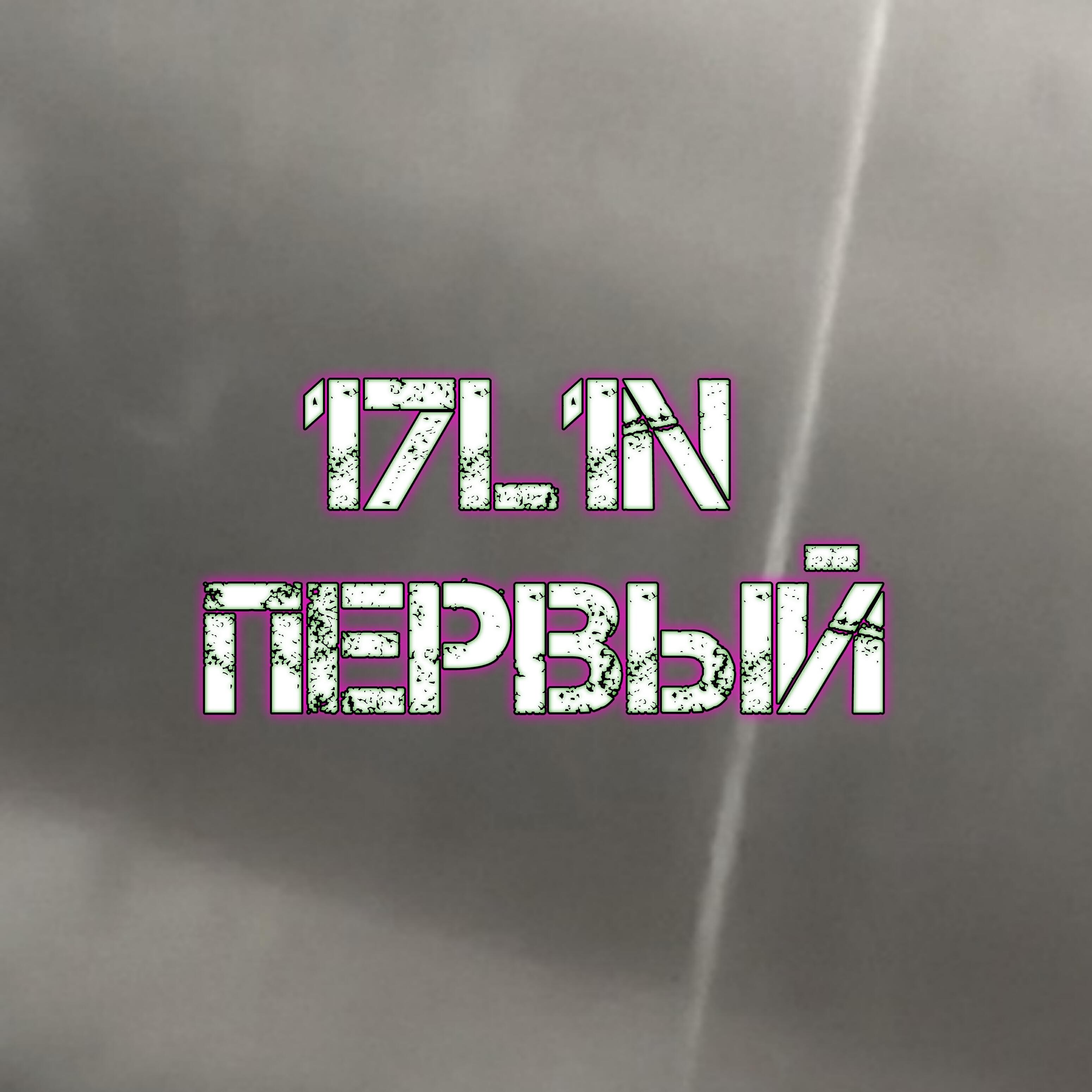 17L1N