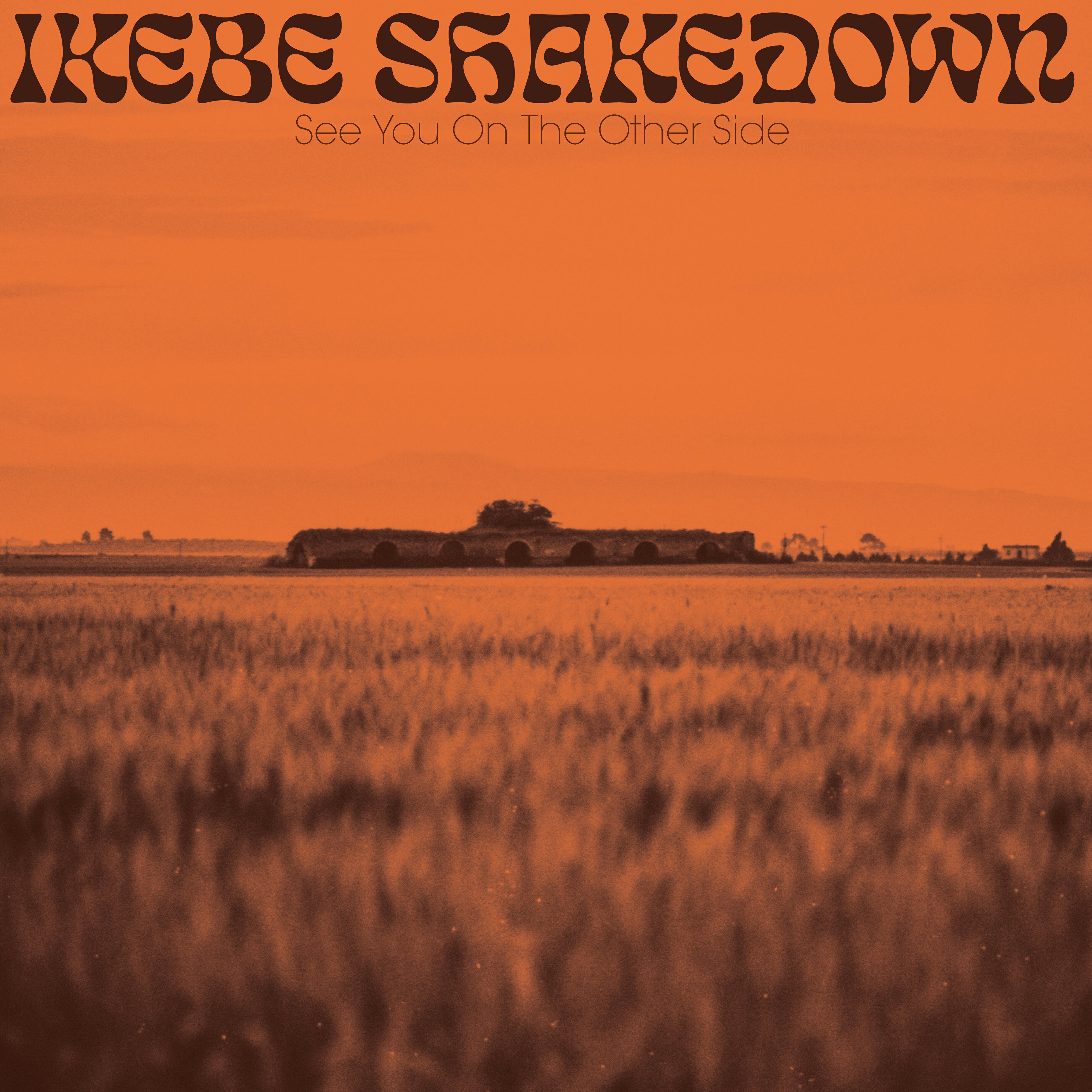 Релиз See You On The Other Side