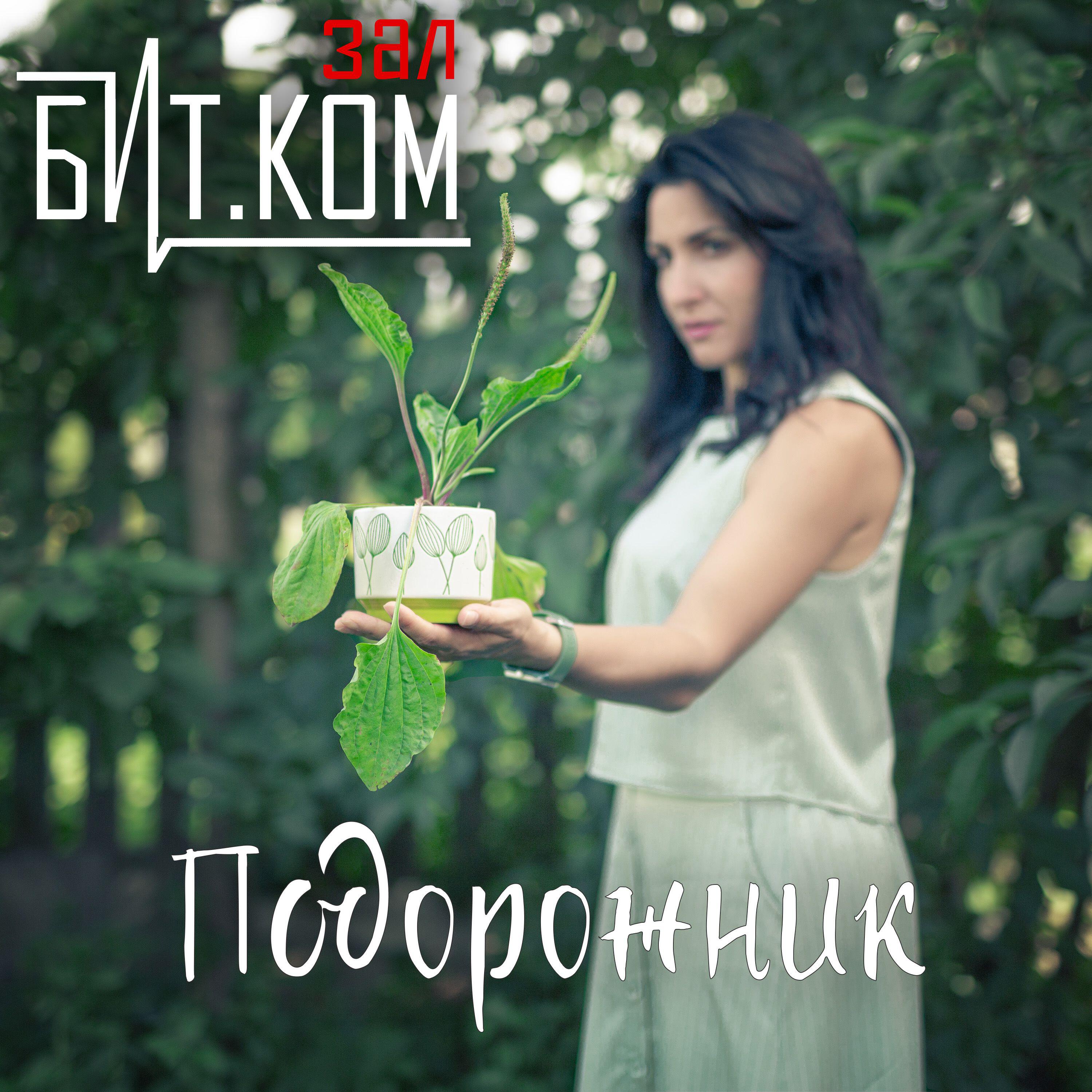 Релиз Подорожник