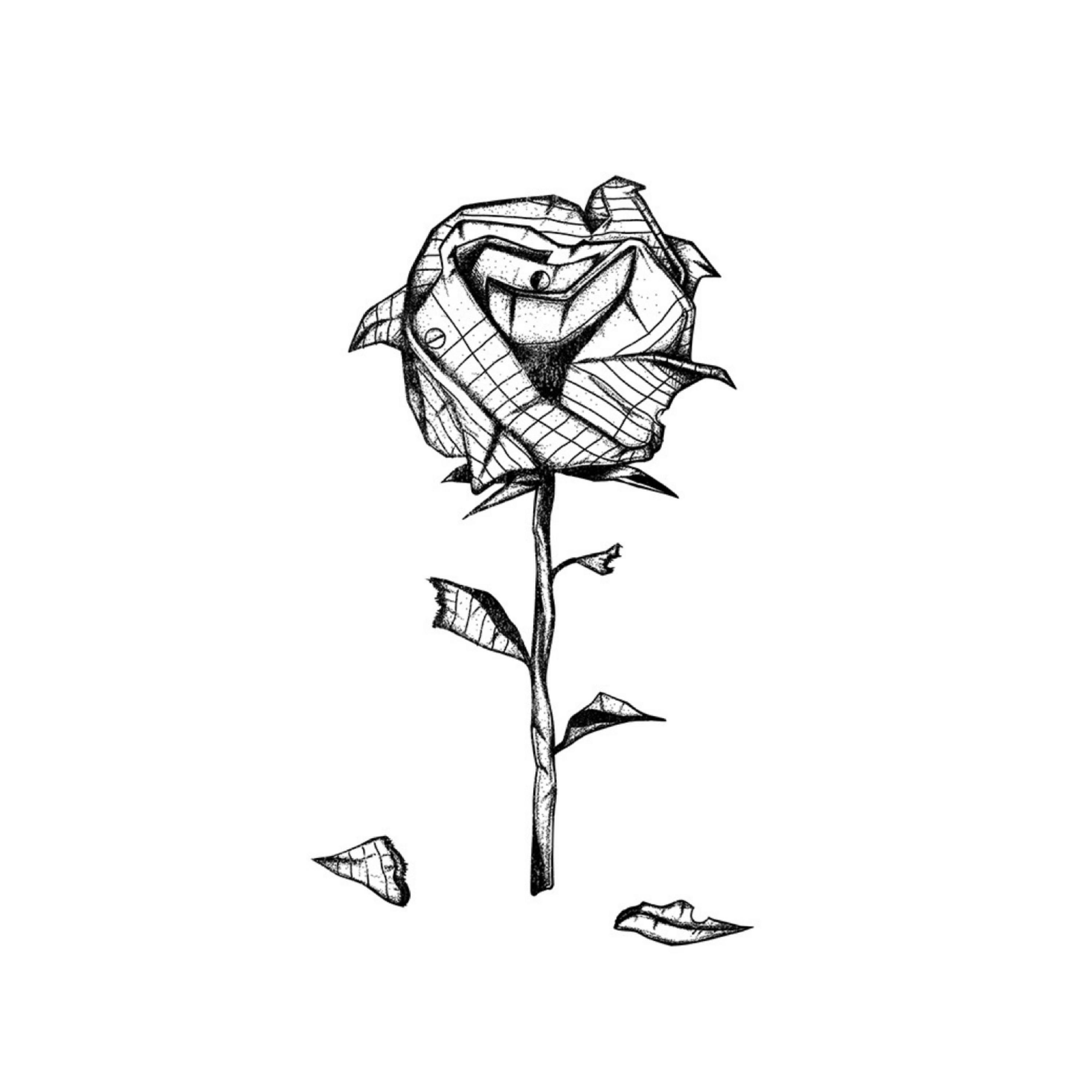 Релиз Rough Drafts
