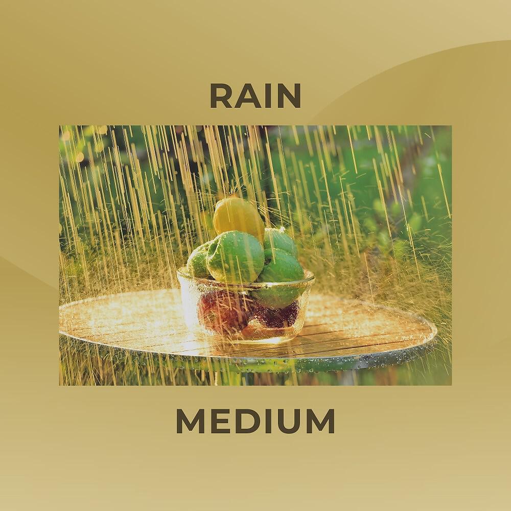 Релиз Rain Medium