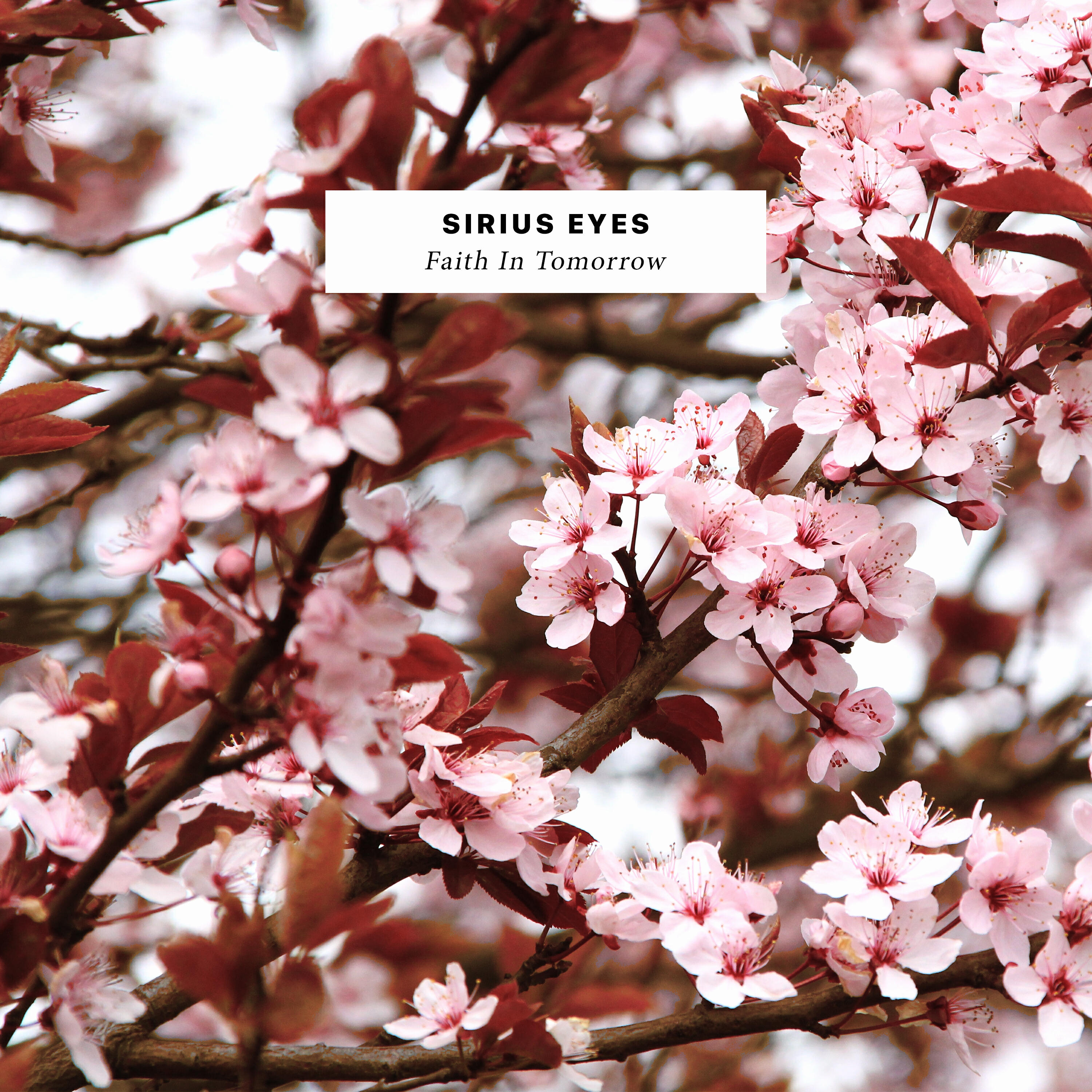 Релиз Faith in Tomorrow