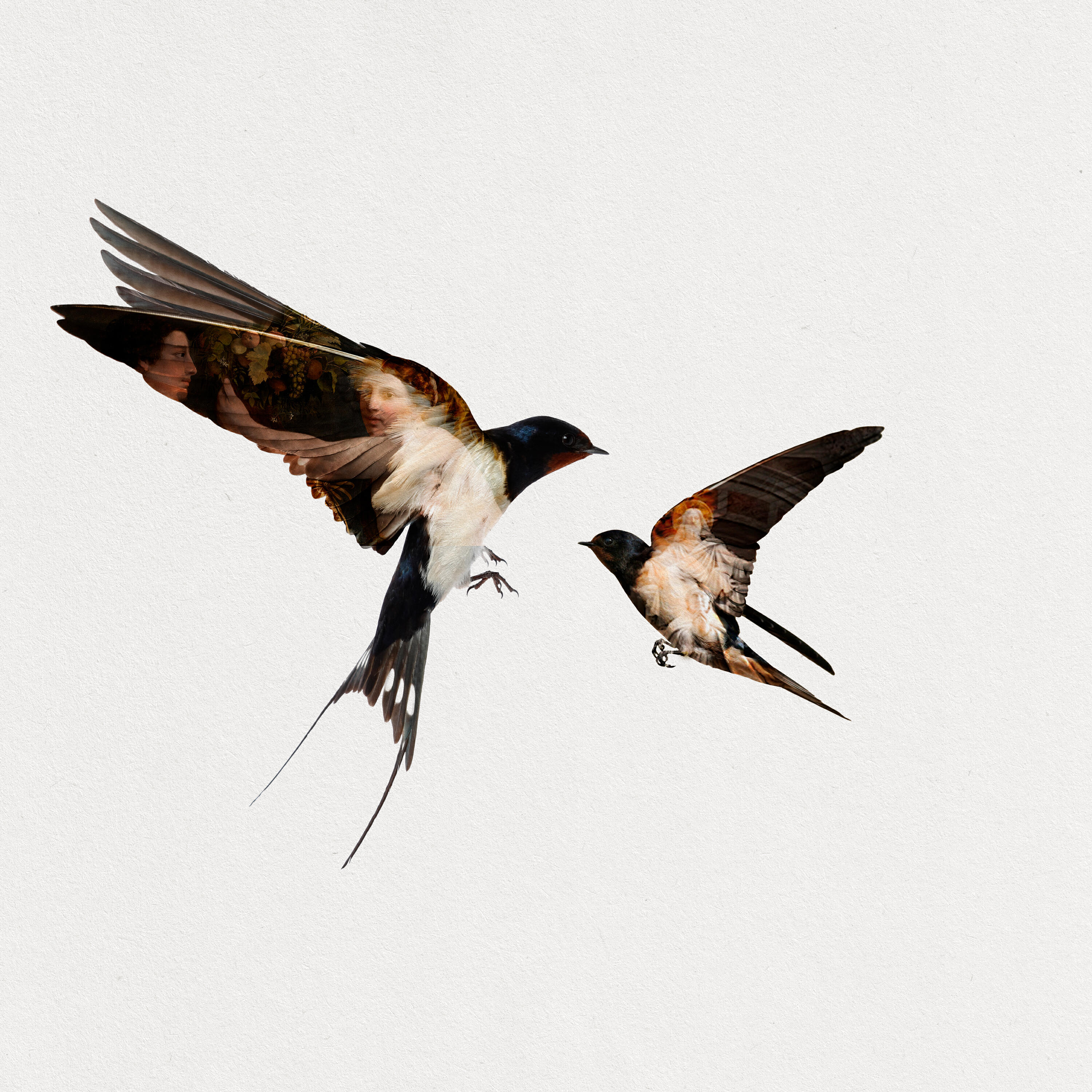 Релиз Näissä juhlissa ei itketä / Linnut lentävät takaisin