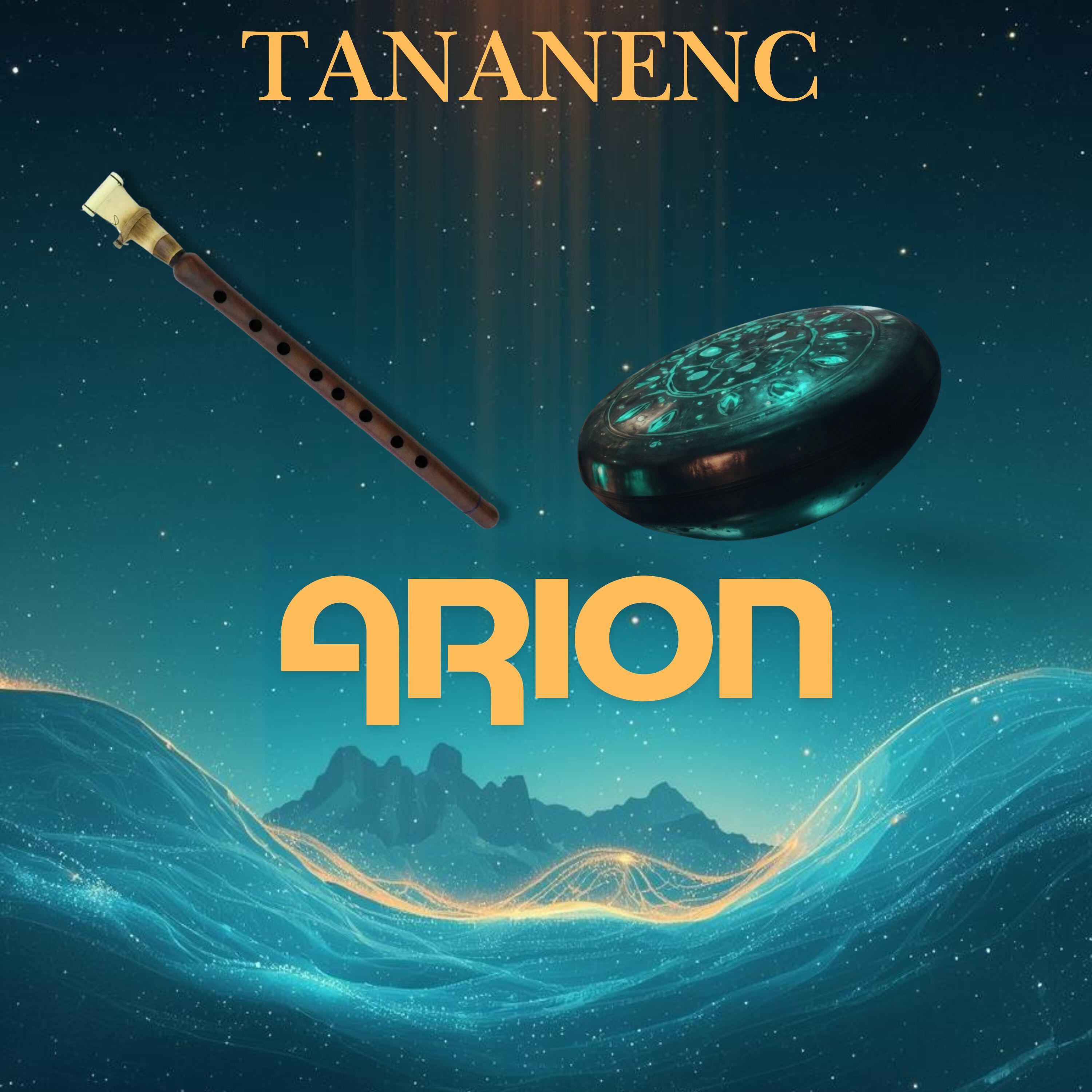 Релиз ARION