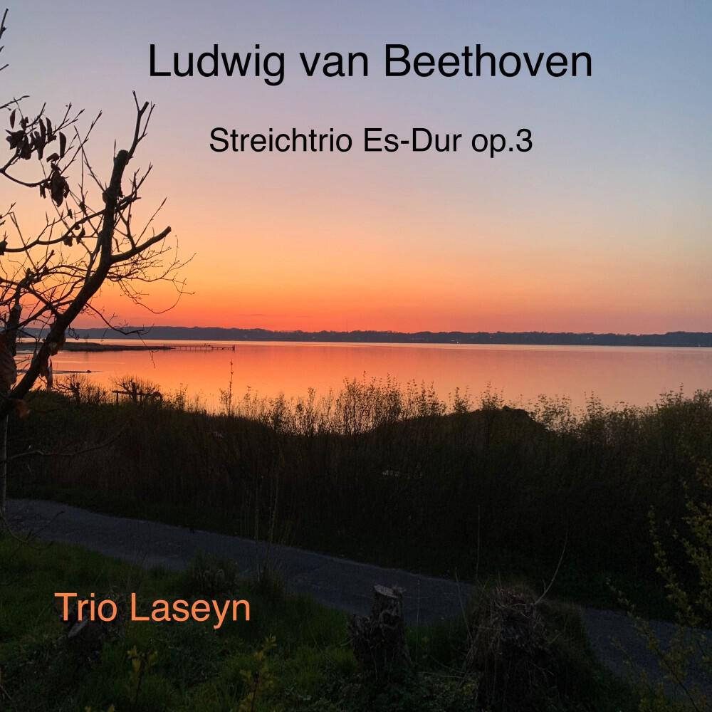 Релиз Ludwig van Beethoven Streichtrio Es-Dur, Op. 3 (Live)