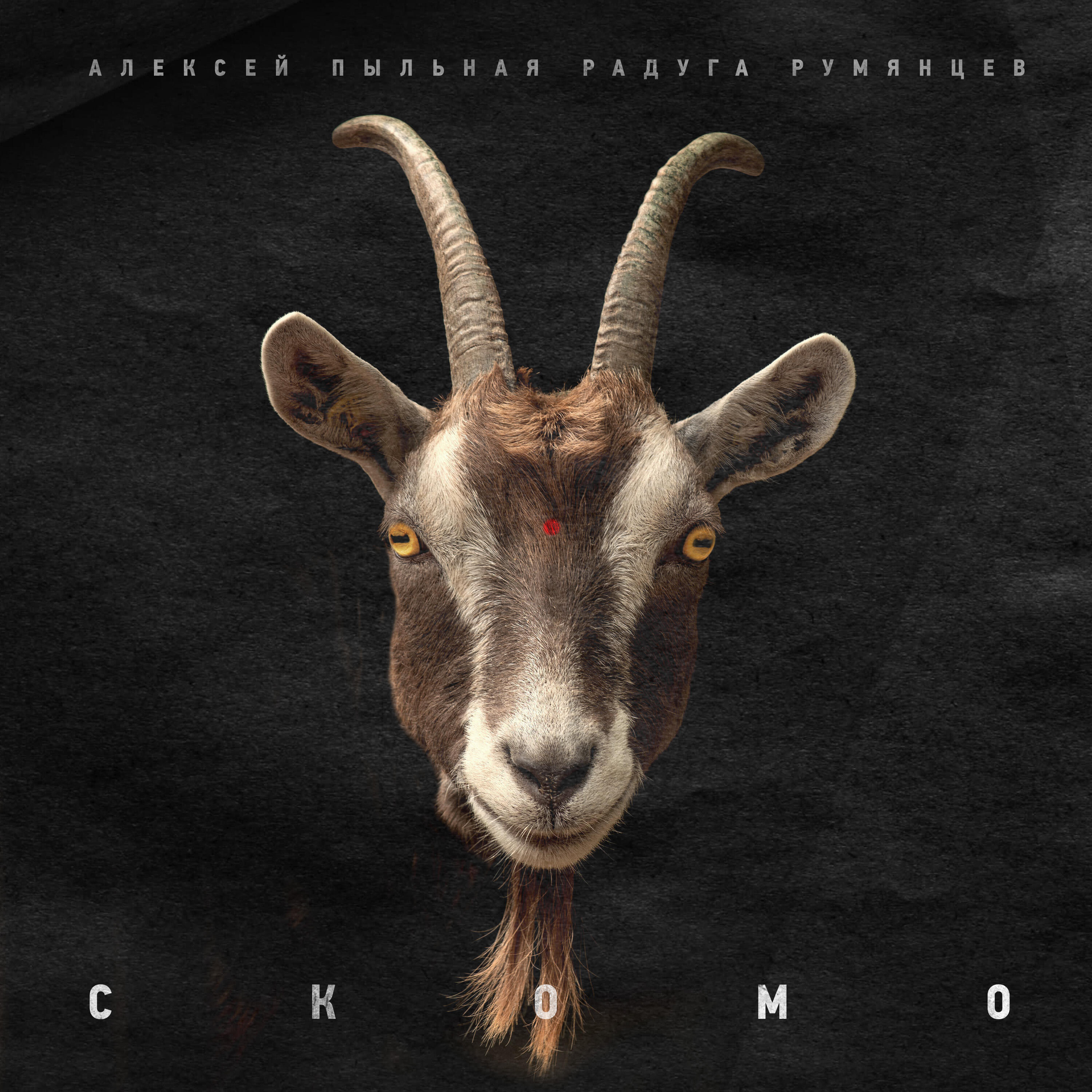 Релиз СКОМО