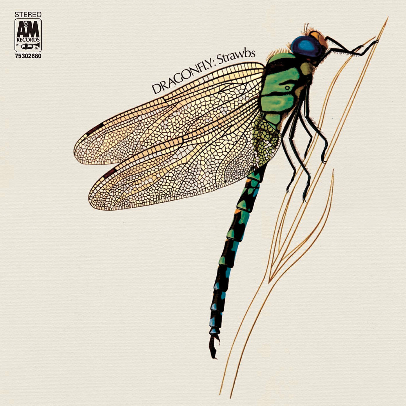 Релиз Dragonfly