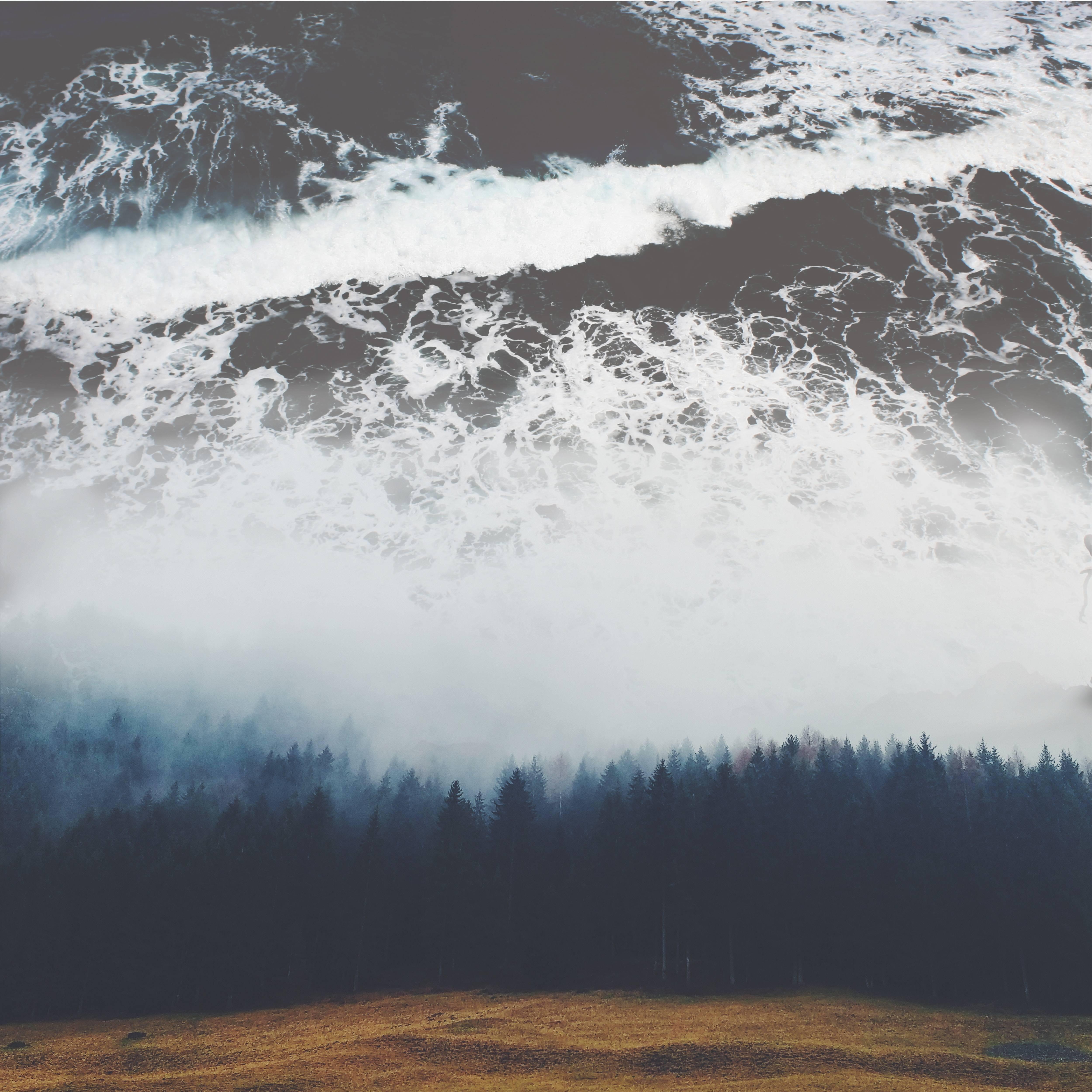 Релиз Ocean of Thoughts