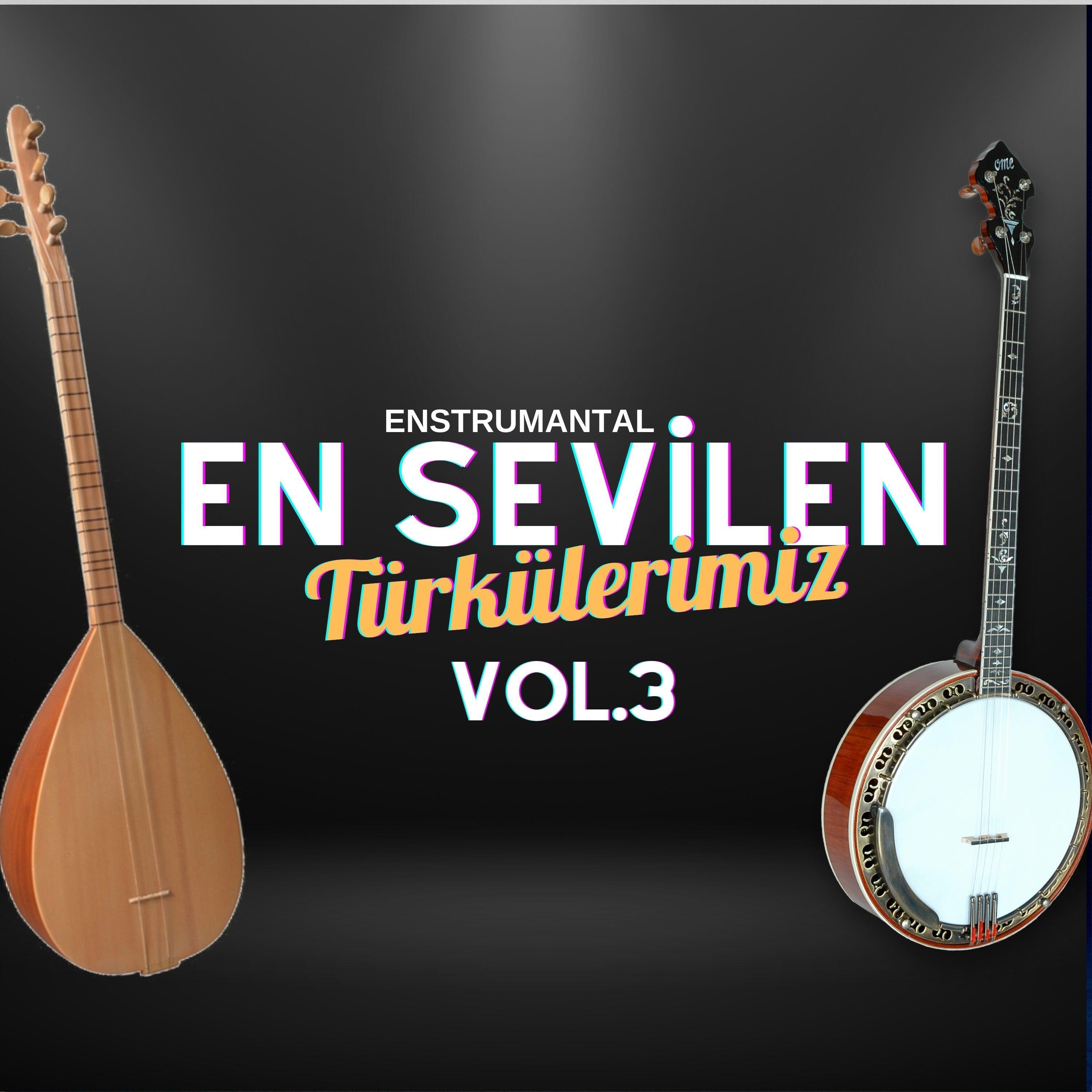 Релиз En Sevilen Türkülerimiz, Vol. 3