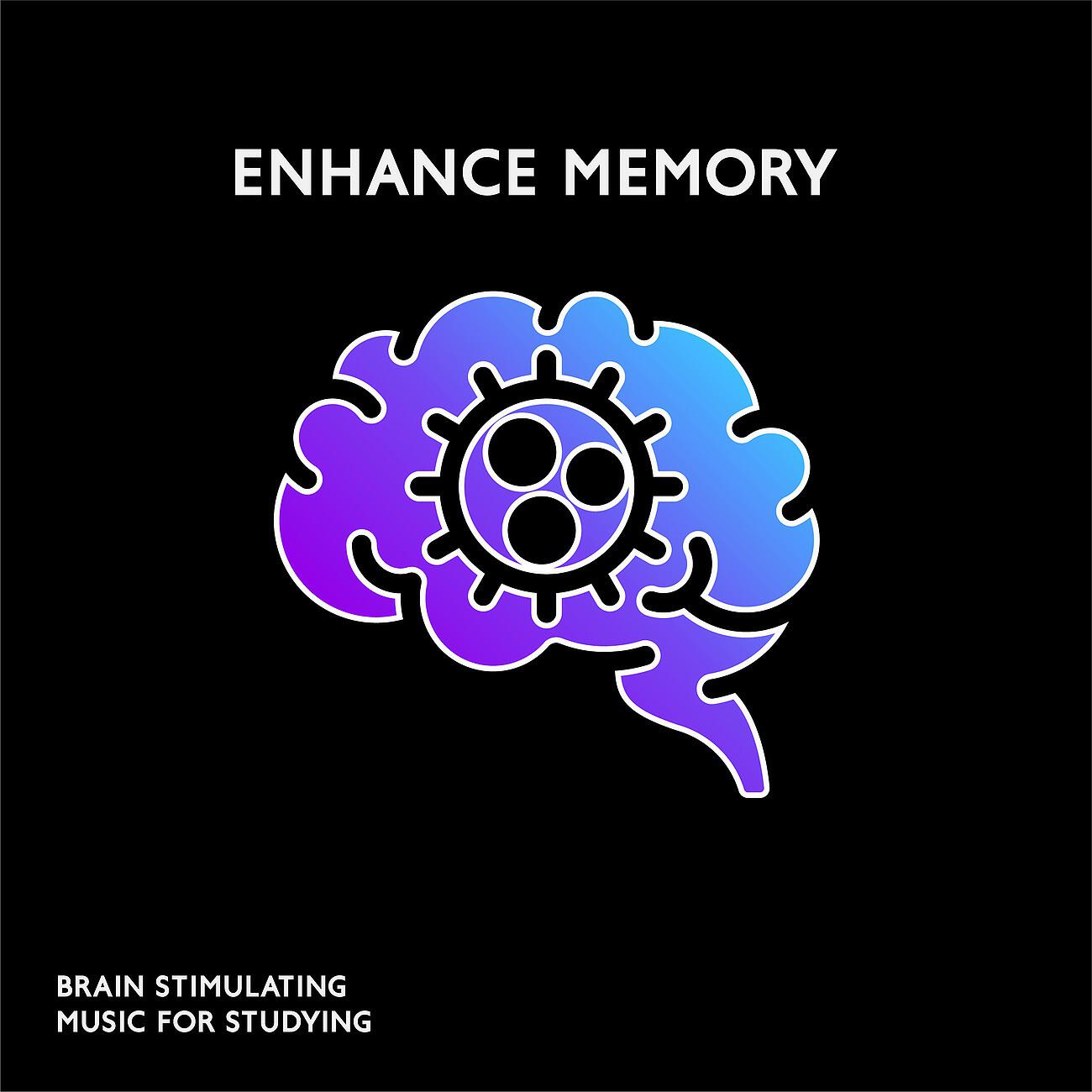 Brain Power Academy