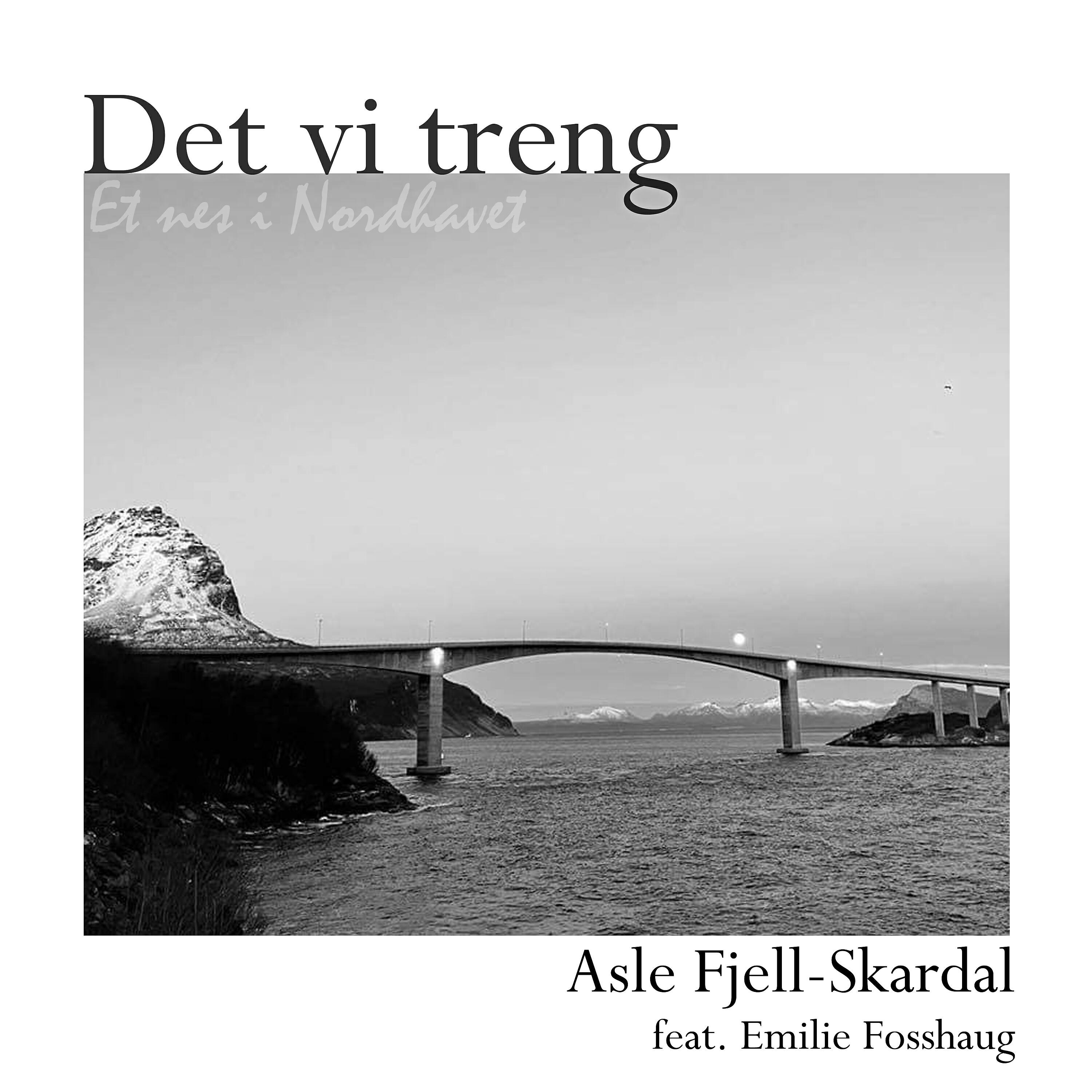 Релиз Det vi treng